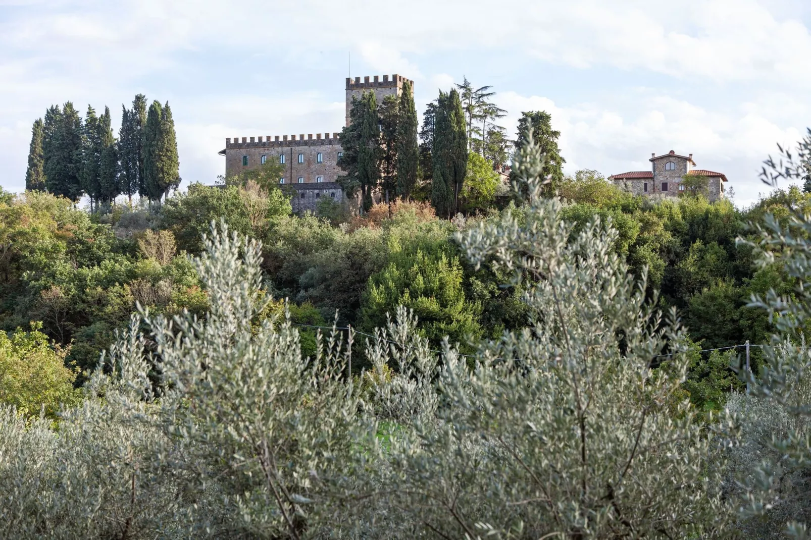 Trebbiano-Gebiete Sommer 1 km