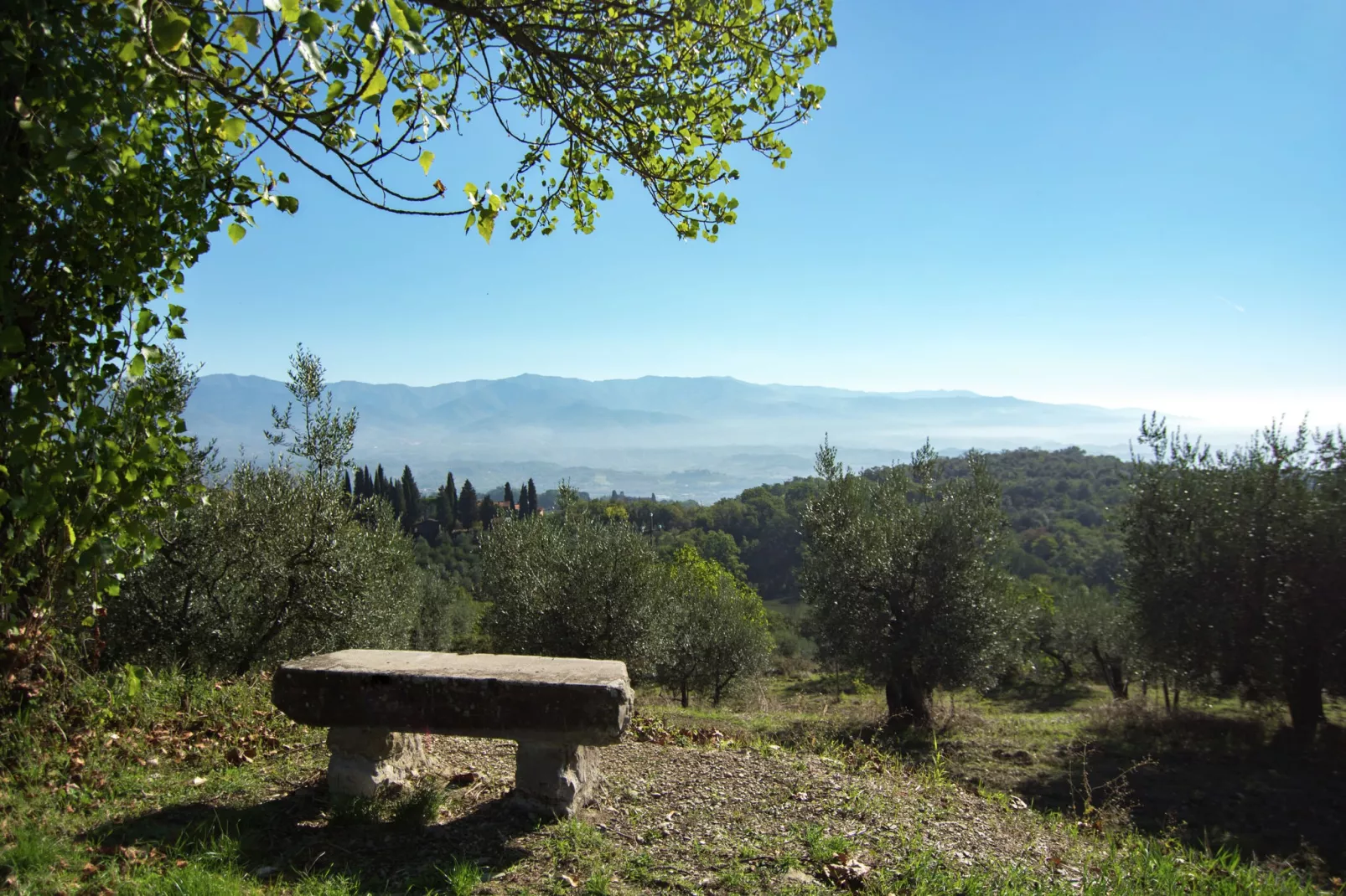 Camino Ugo-Gardens summer