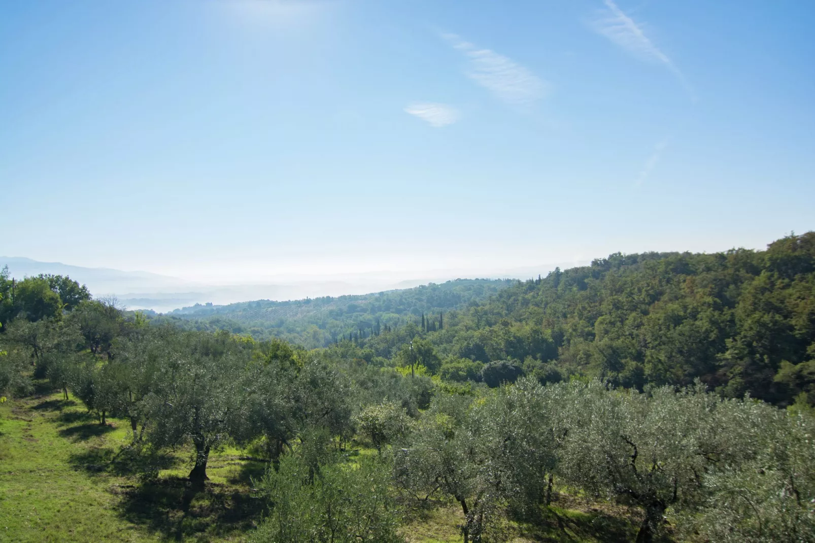 Camino Ugo-Areas summer 1km