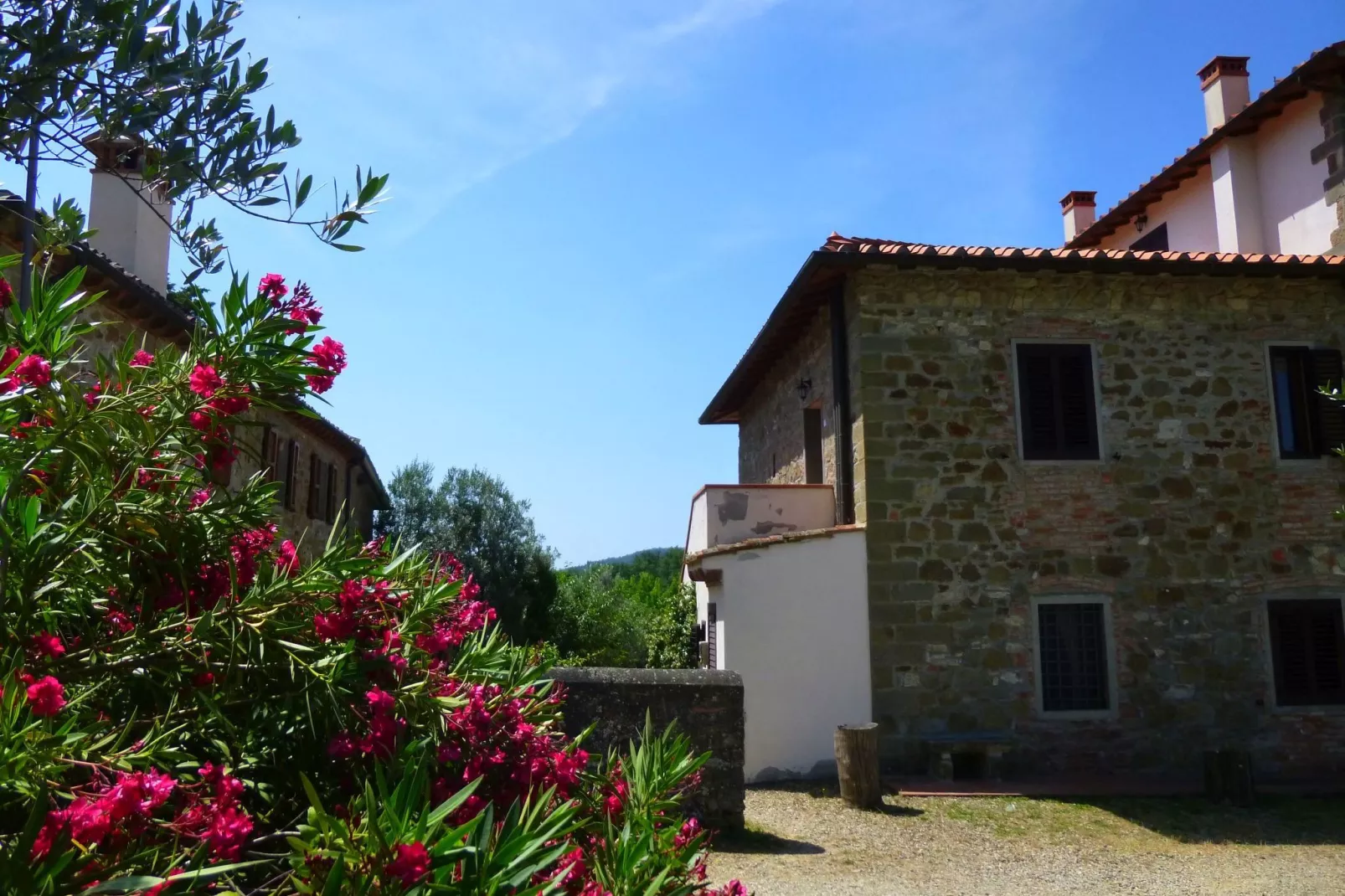 Canaiolo