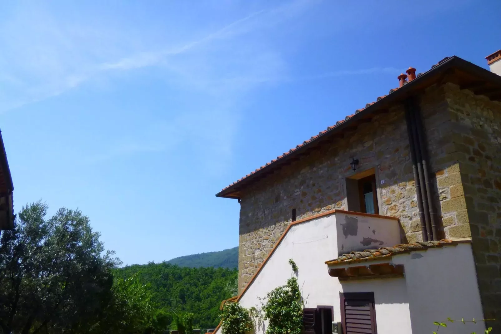 Canaiolo-Außenbereich Sommer