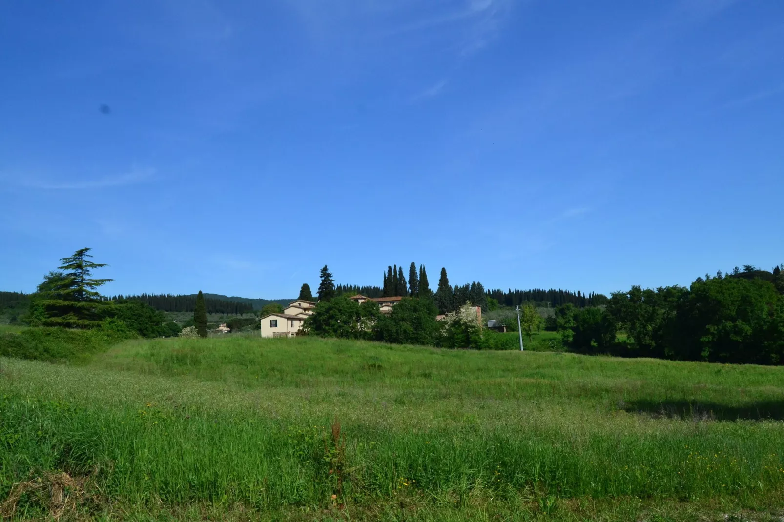 Canaiolo-Gärten Sommer