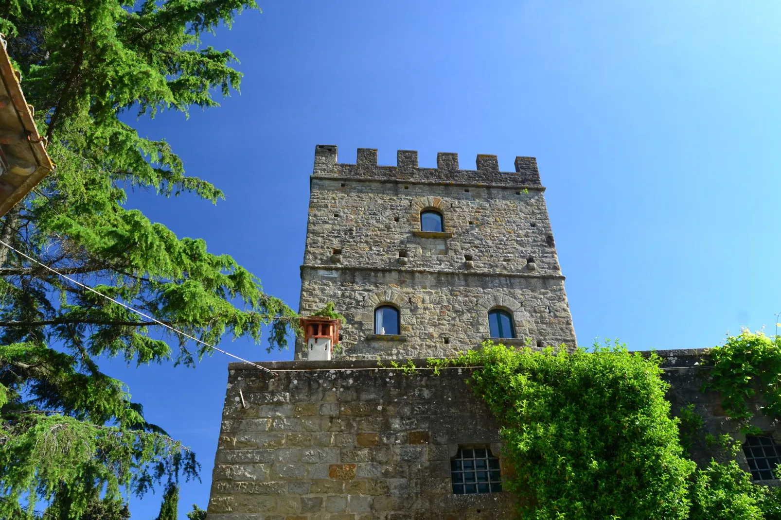 Canaiolo-Gebiete Sommer 1 km