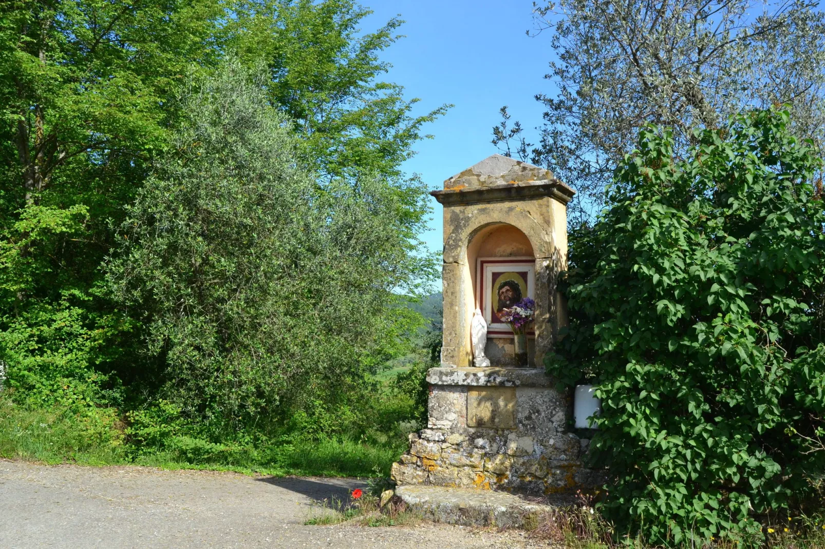 Canaiolo-Gebiete Sommer 1 km