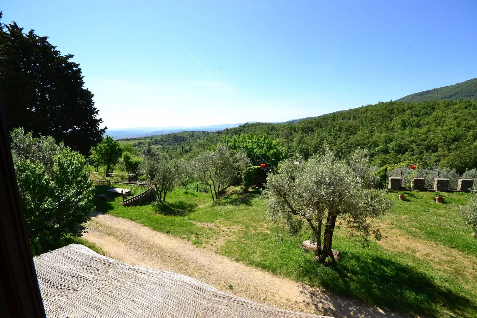 Canaiolo-Aussicht Sommer