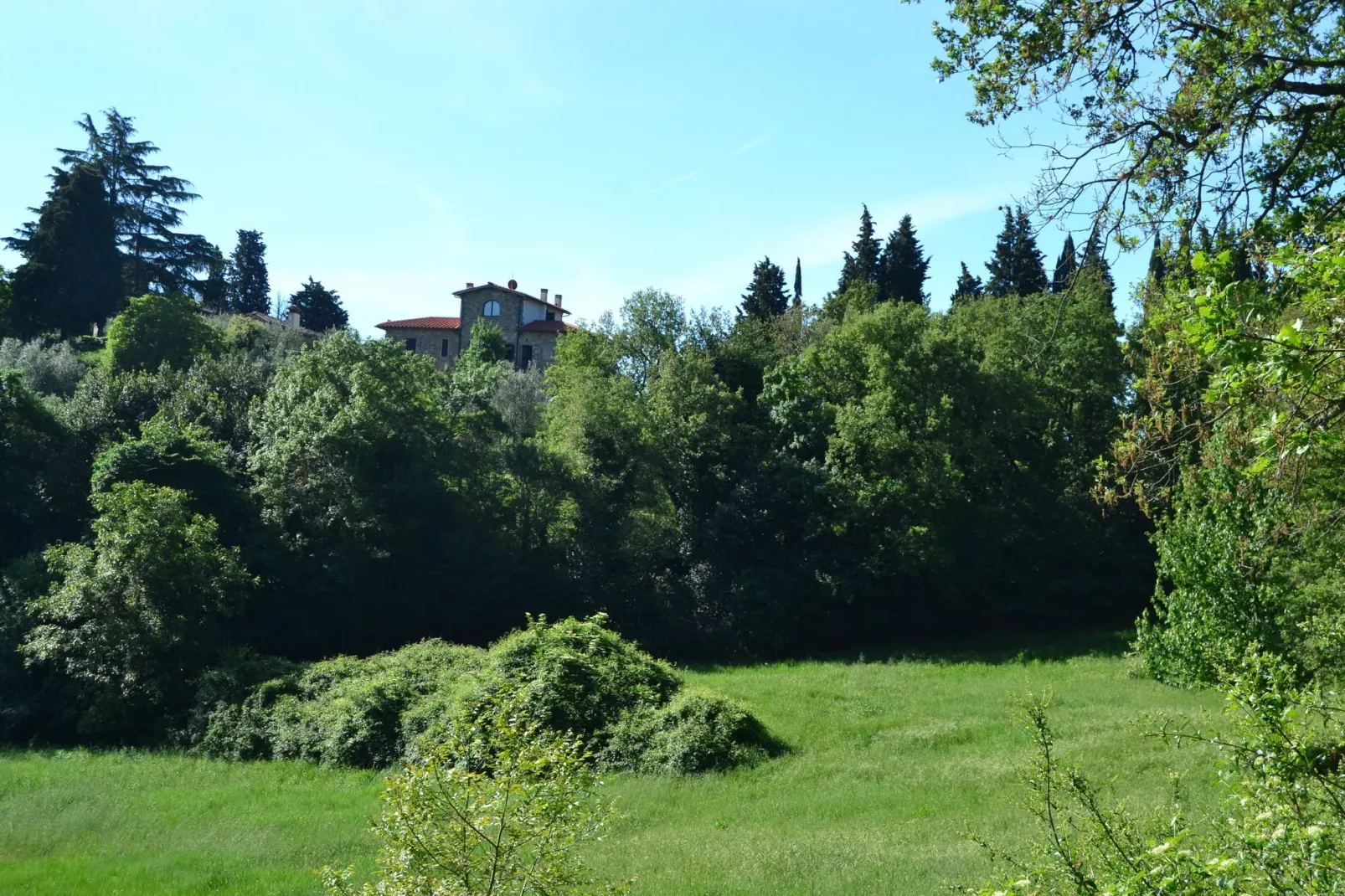 Canaiolo-Aussicht Sommer