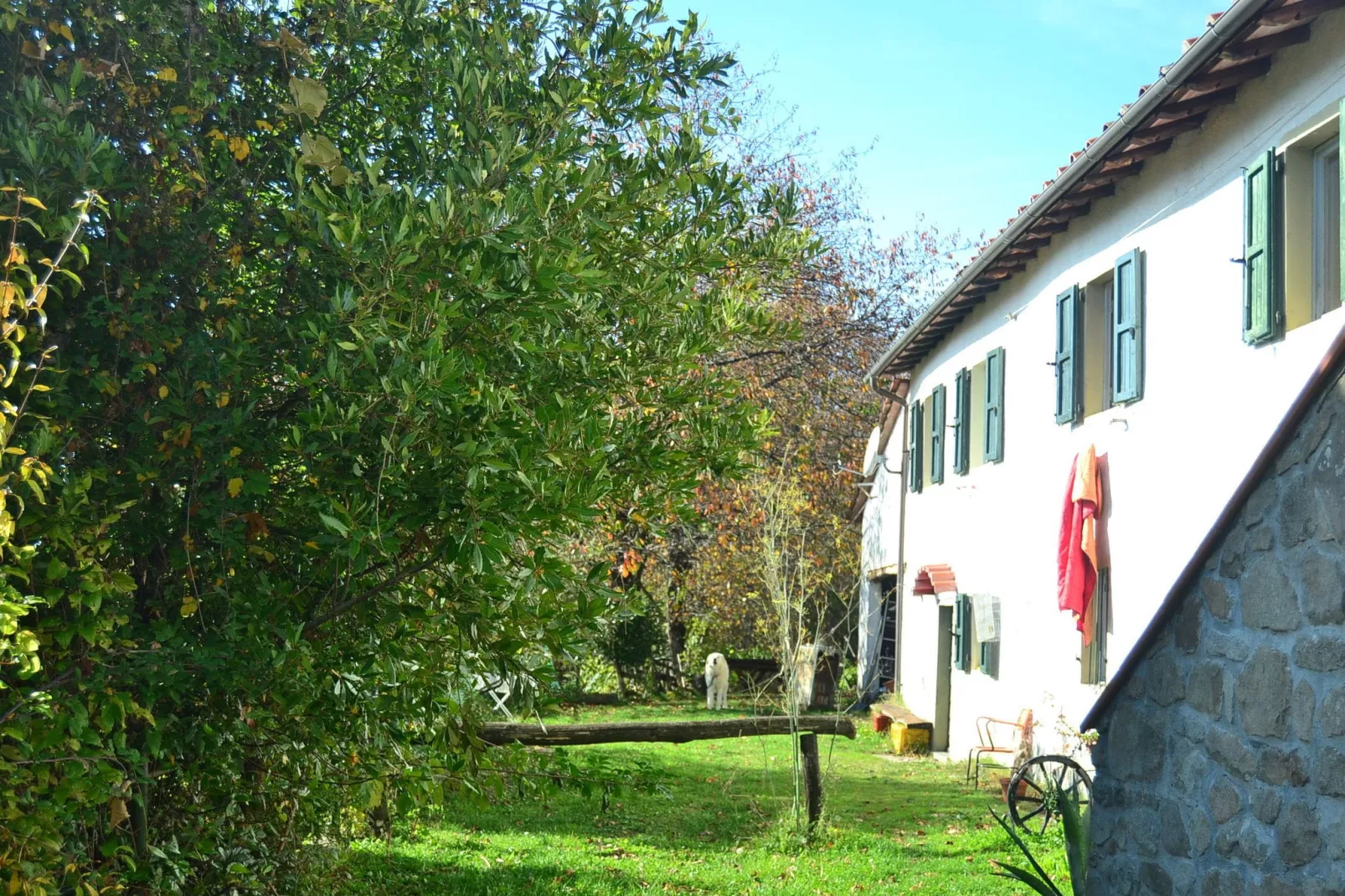 Partitoio Panorama-Gardens summer