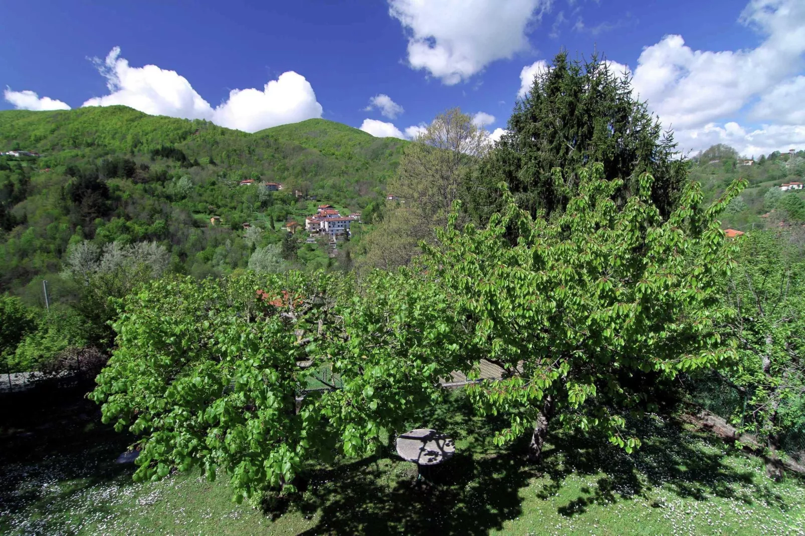Il Cerro-View summer