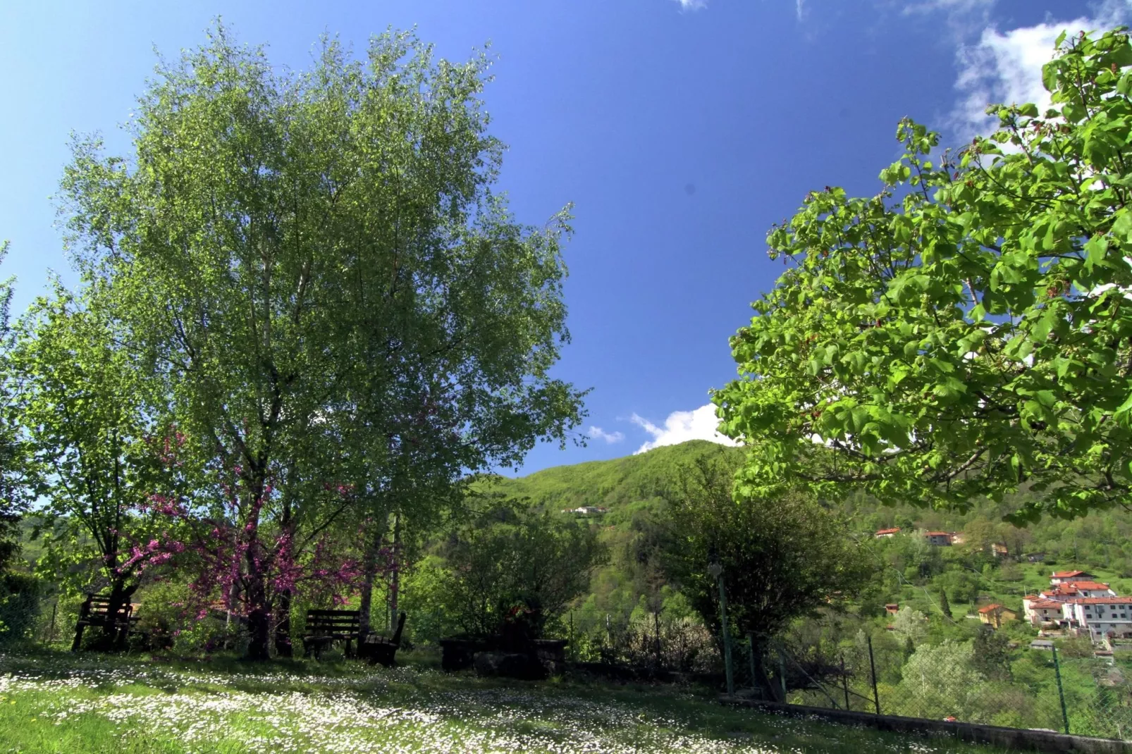 Il Cerro-Gardens summer