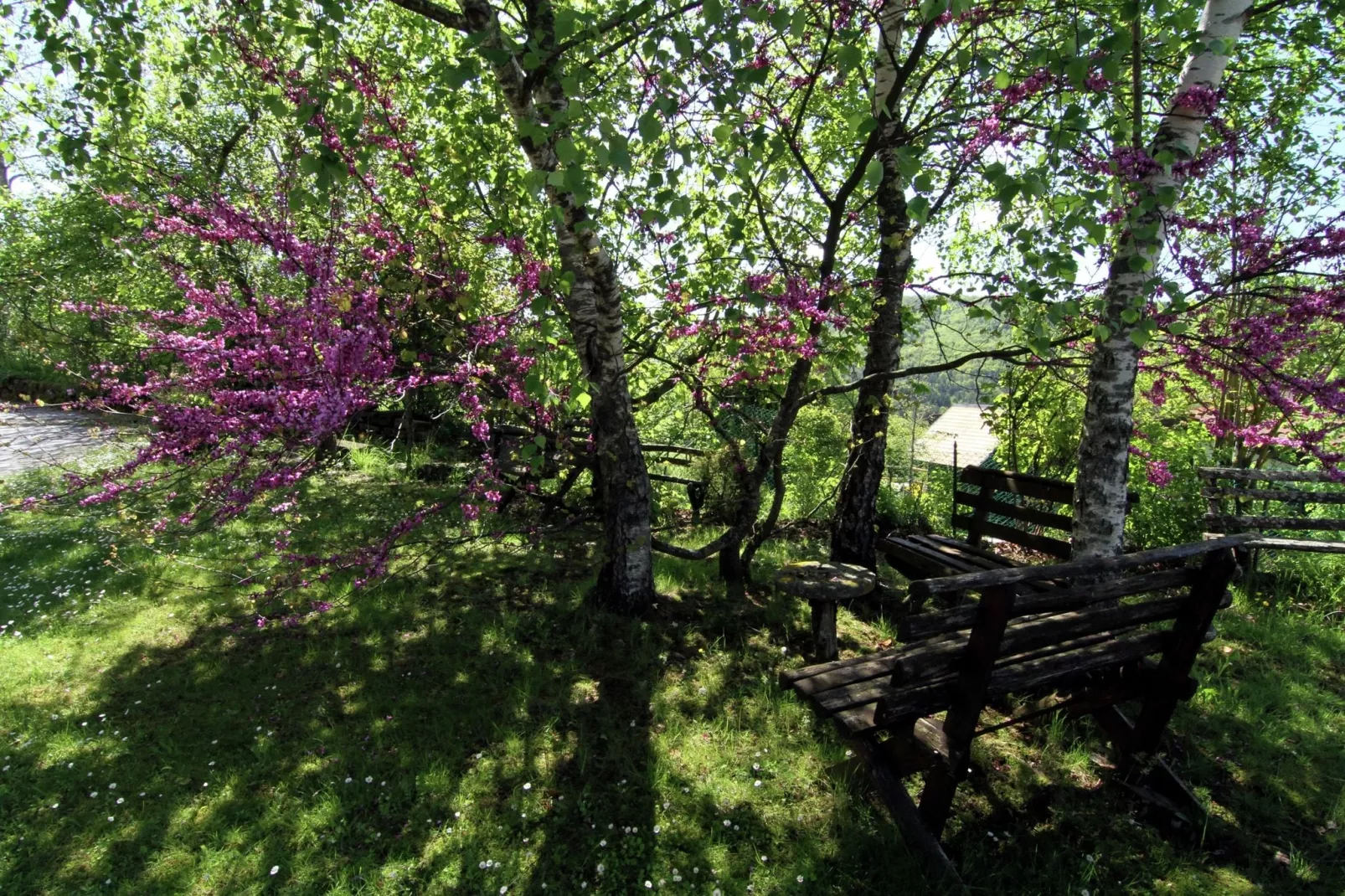Il Cerro-Gardens summer