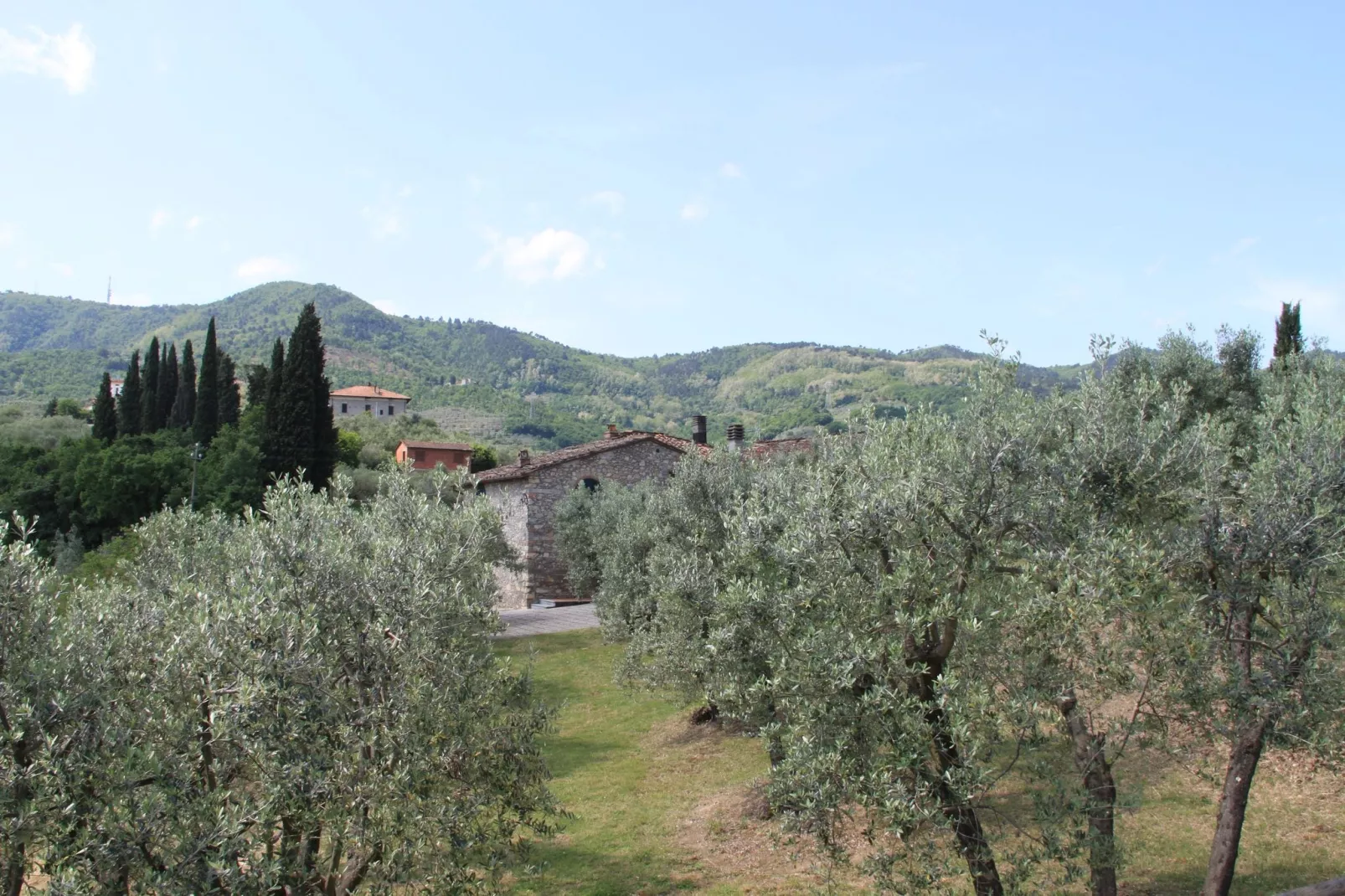 La Casa dei Due Olivi-Gardens summer