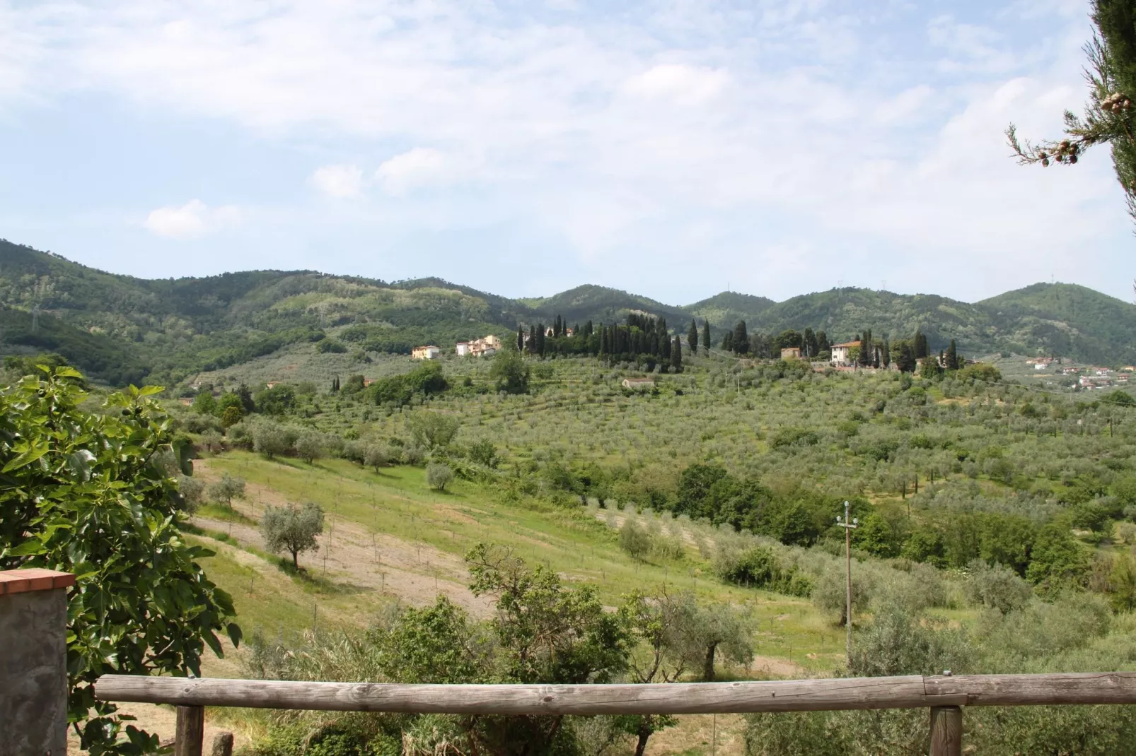 La Casa dei Due Olivi-View summer