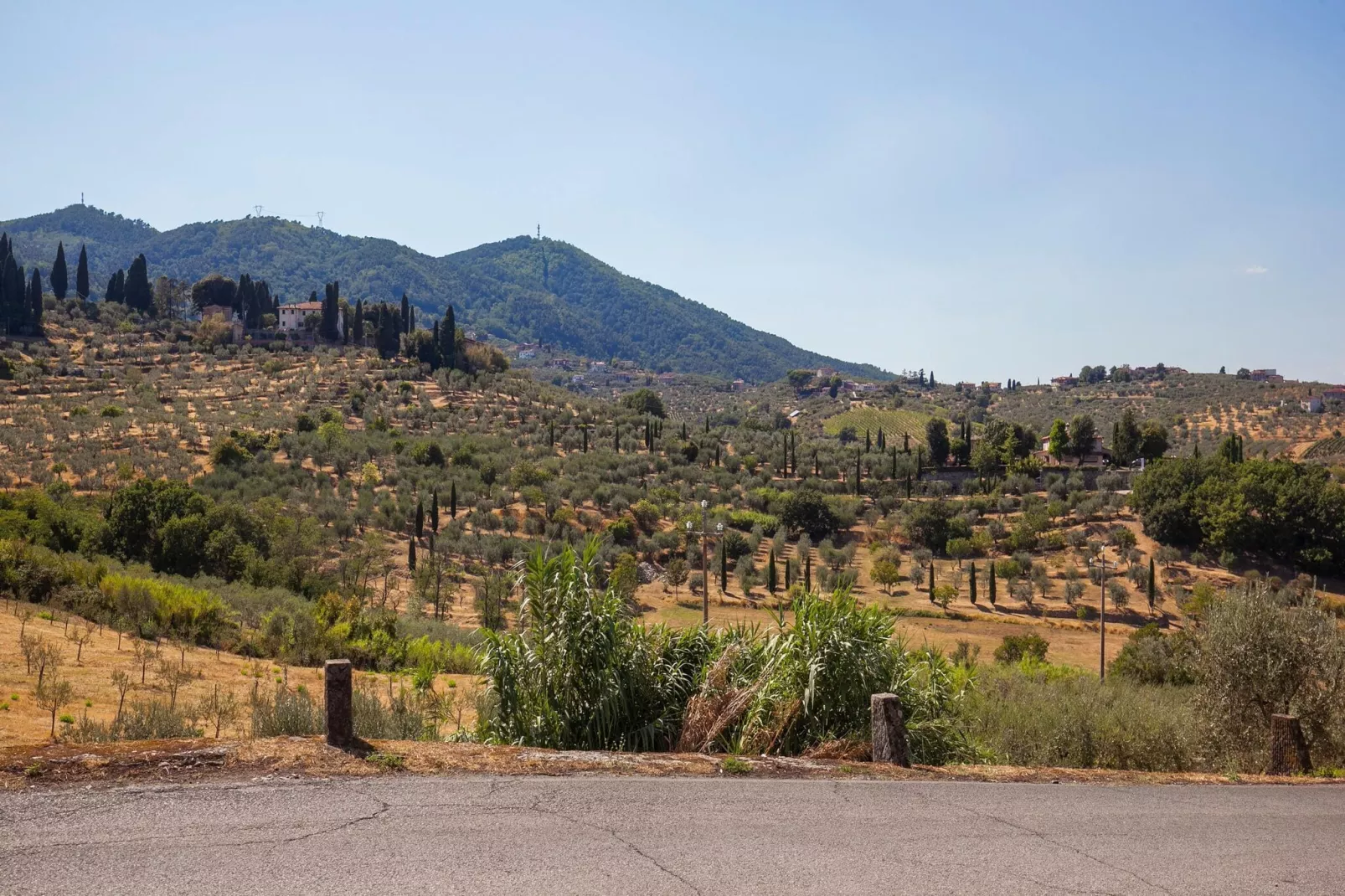 La Casa dei Due Olivi-Areas summer 5km