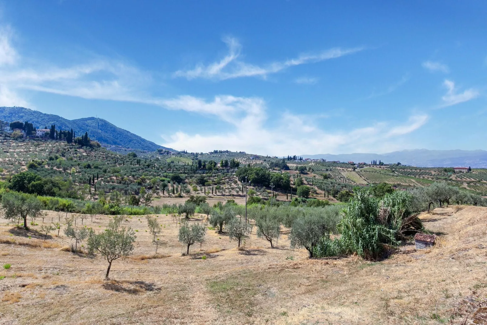 La Casa dei Due Olivi-Areas summer 5km