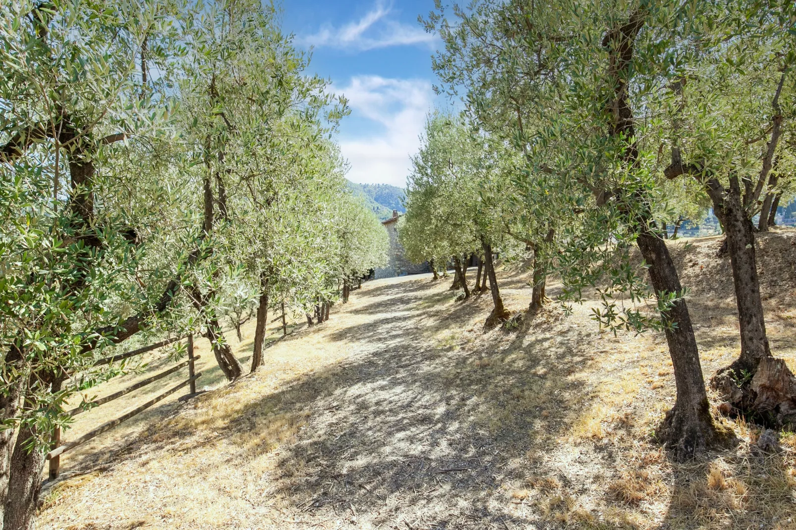 La Casa dei Due Olivi-Areas summer 5km