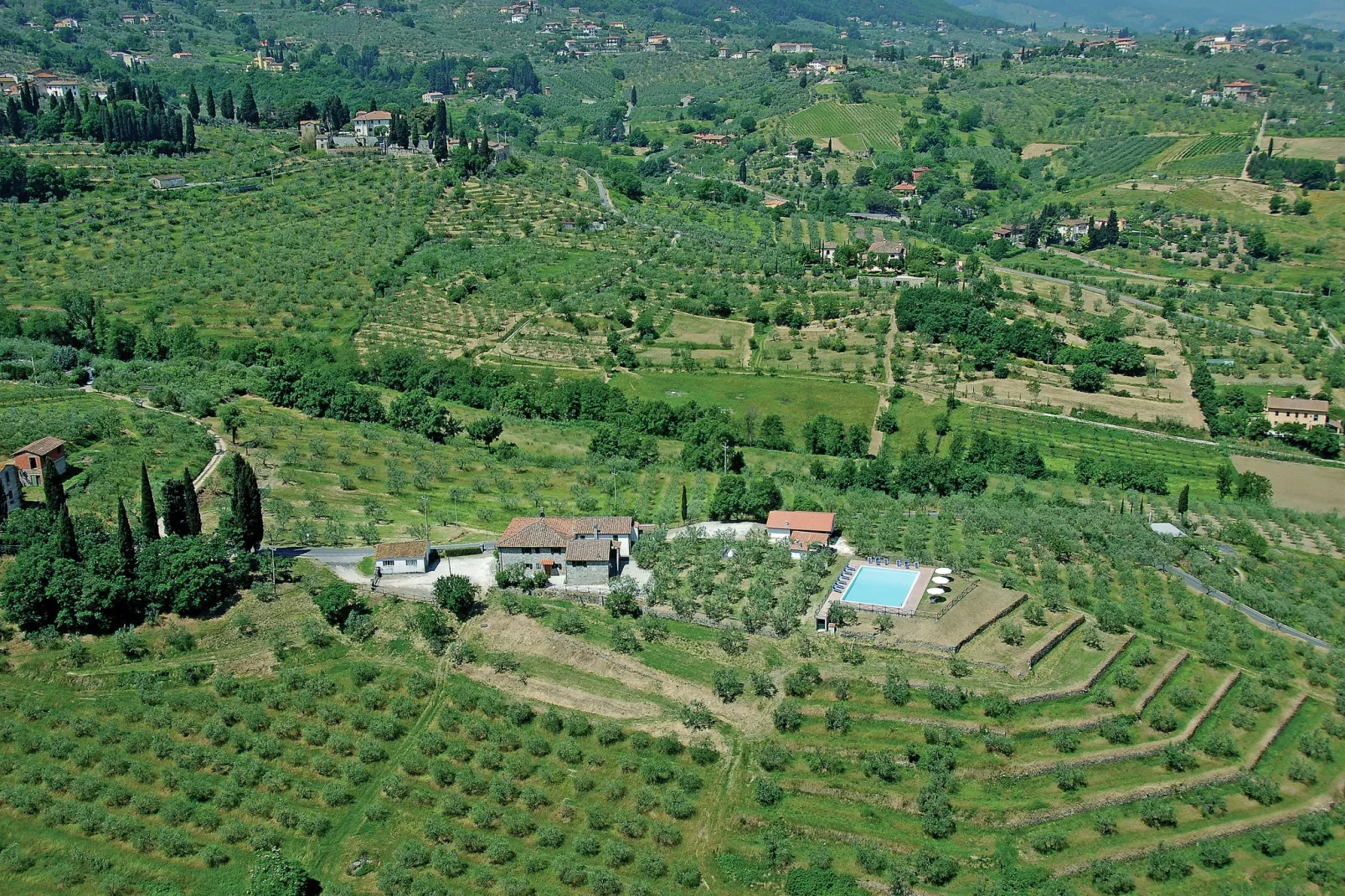 La Casa dei Cinque Olivi-Exterior summer