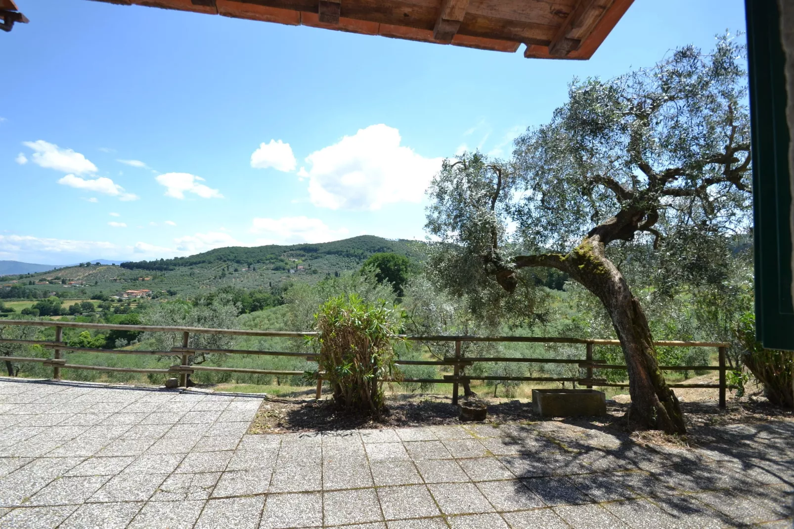 La Casa dei Cinque Olivi-View summer