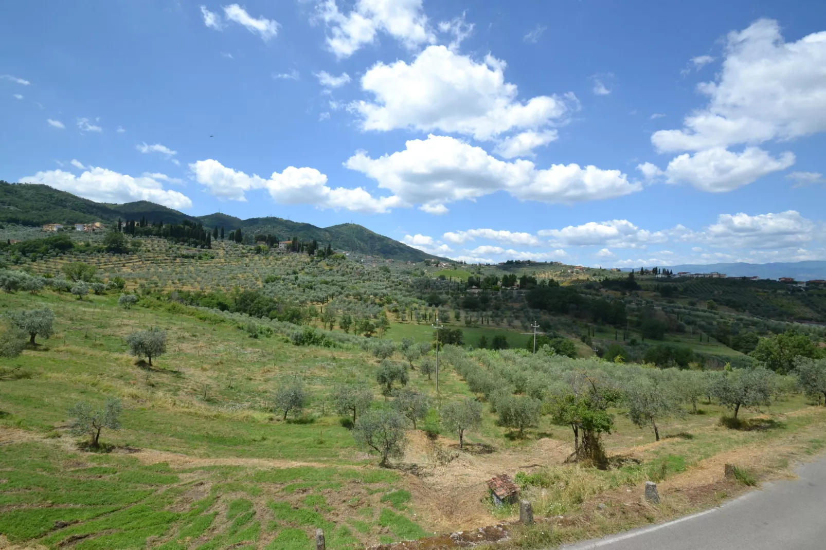 La Casa dei Cinque Olivi-Areas summer 1km