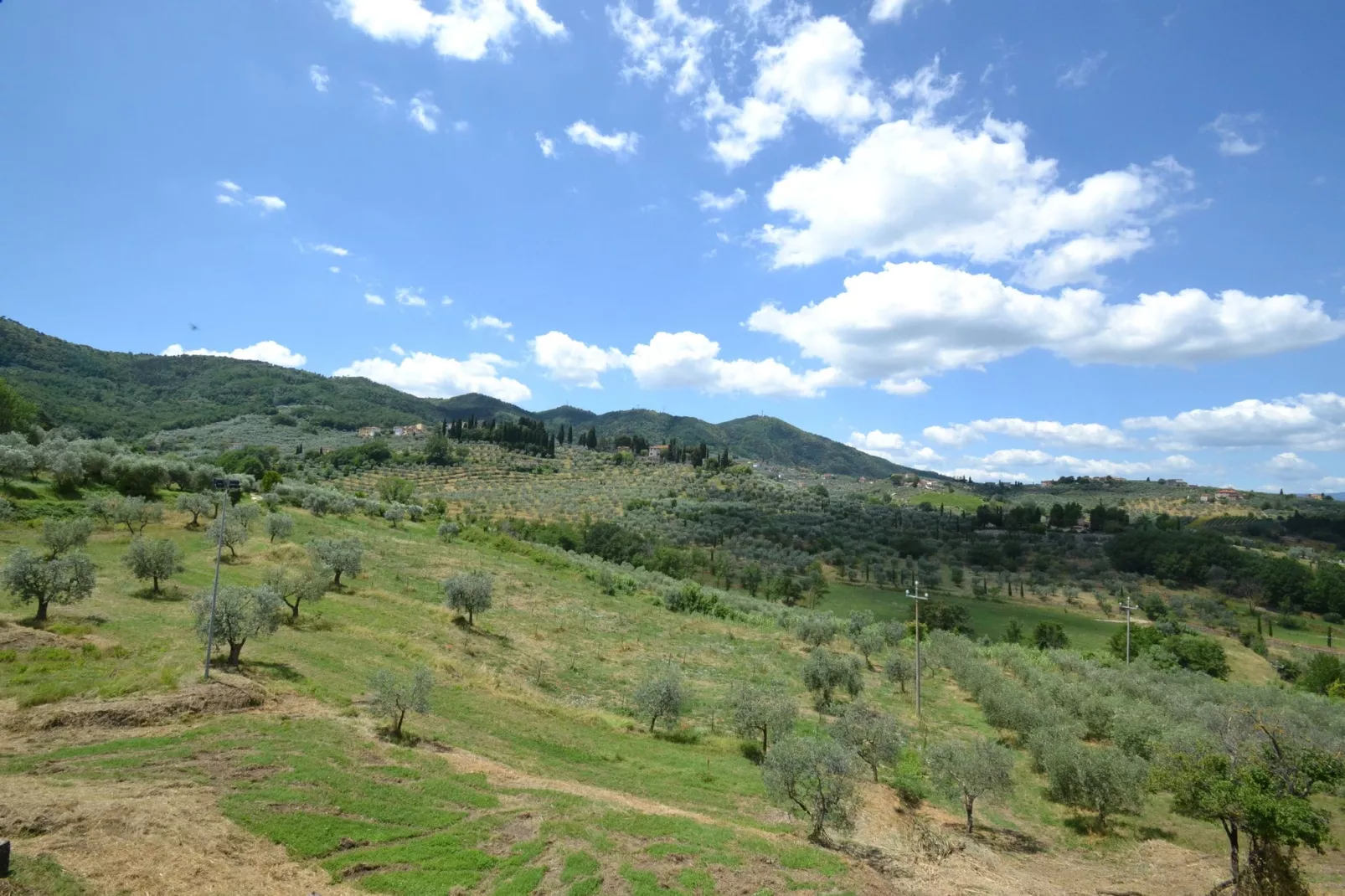 La Casa dei Cinque Olivi-Areas summer 1km