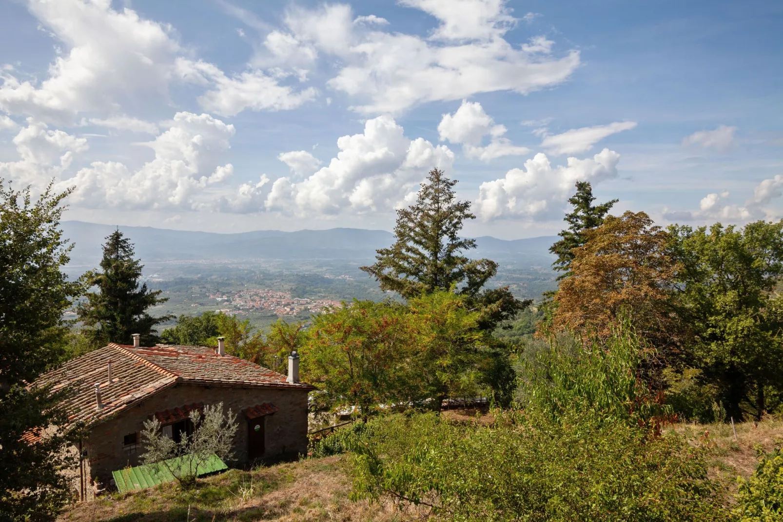 Belvedere Acacie-View summer