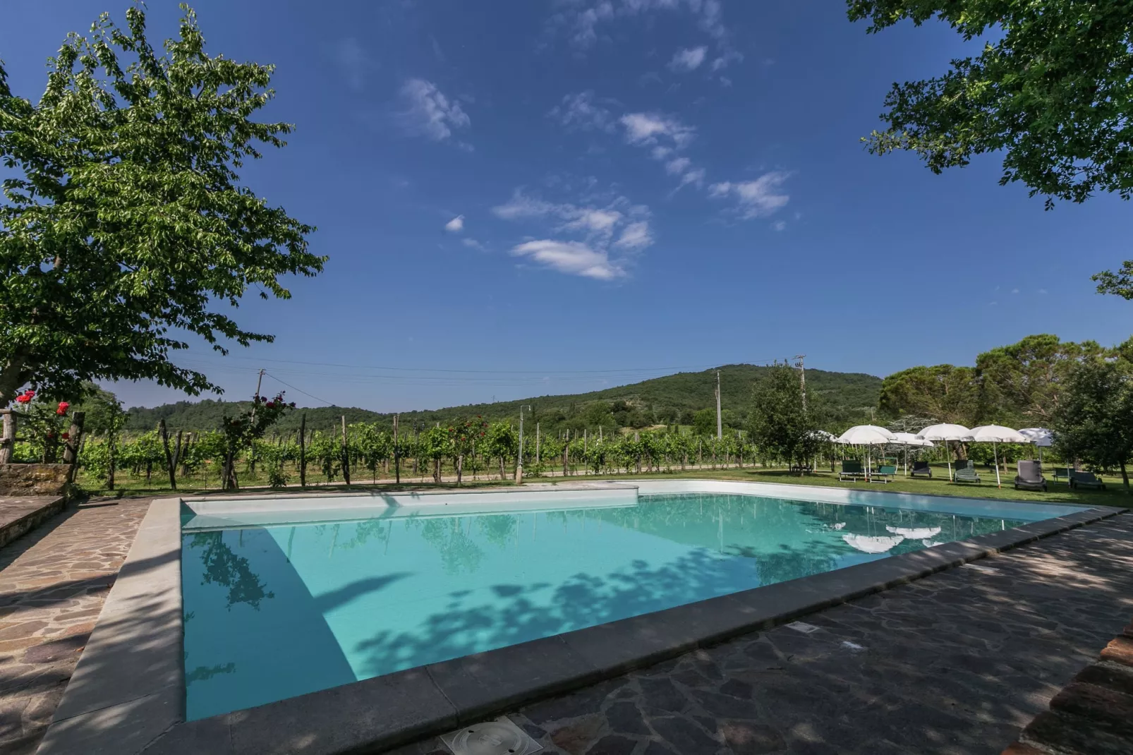 Rimacini-Pool