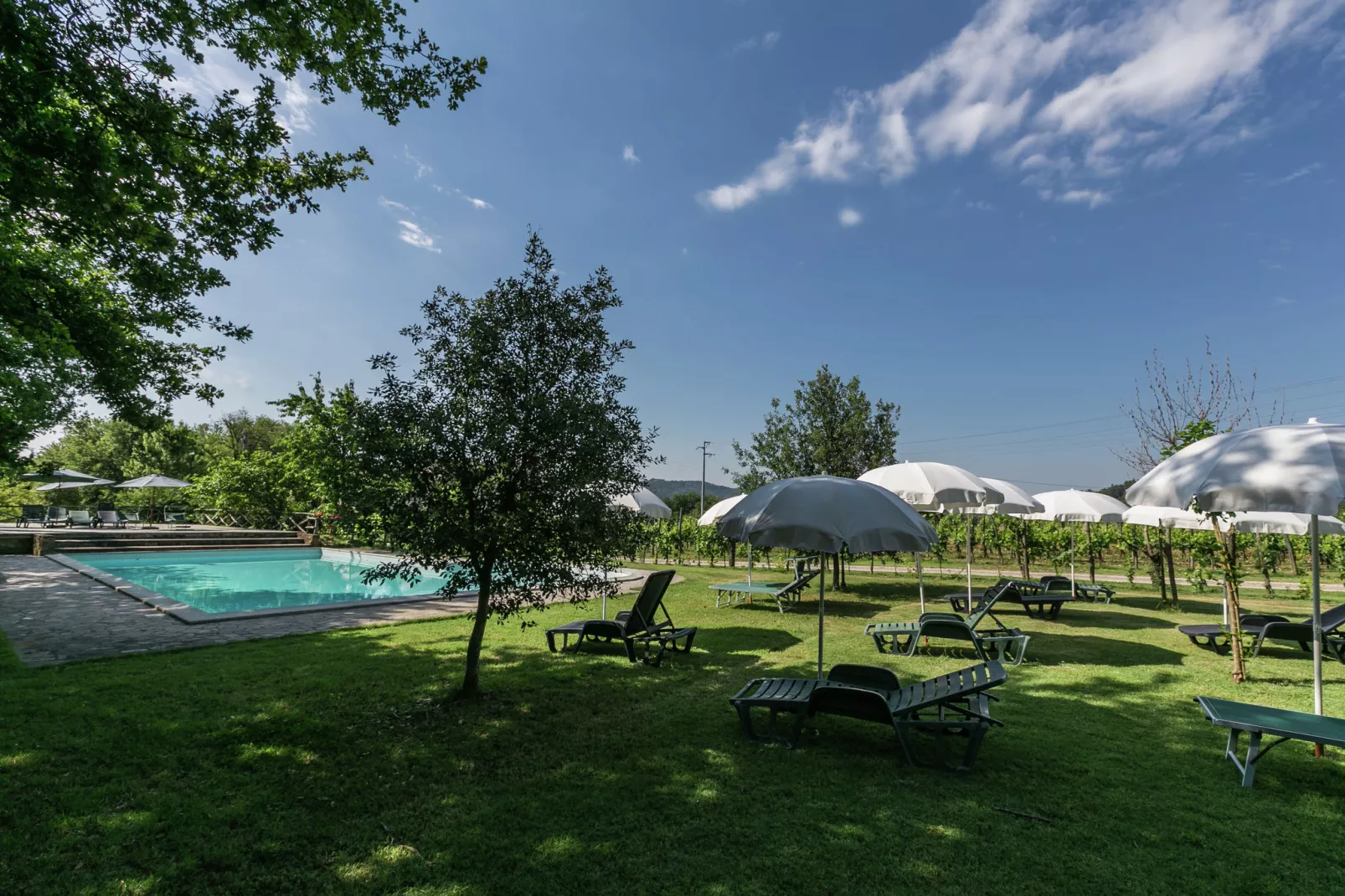Rimacini-Pool