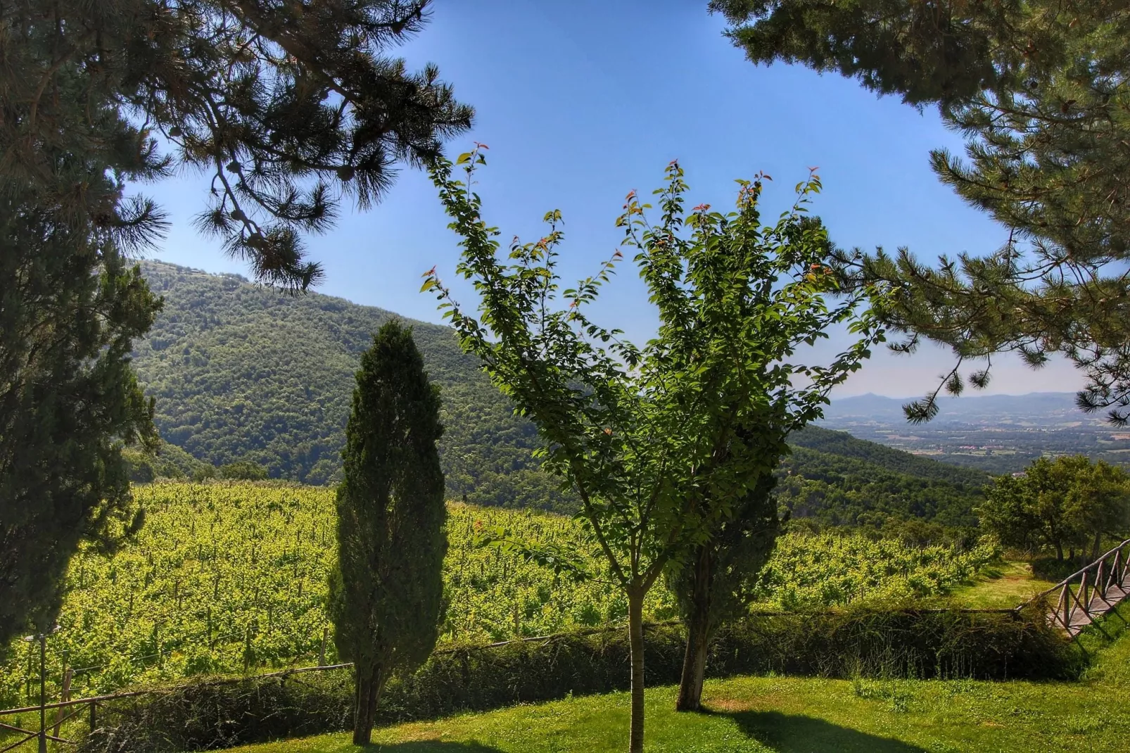 Clemacine-Areas summer 1km