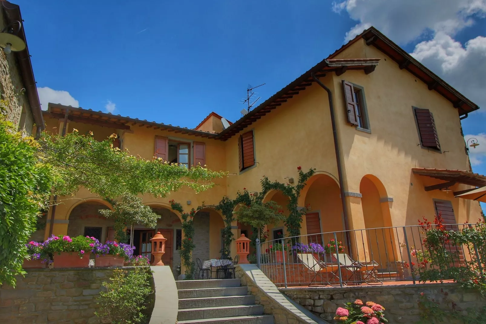 Caprifoglia-Exterior summer
