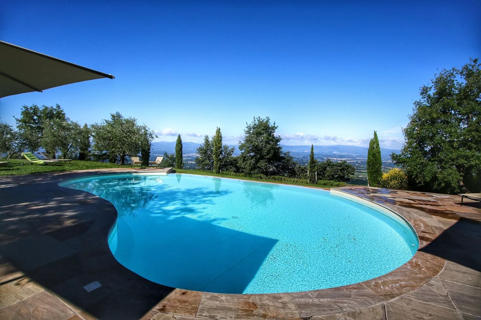 Caprifoglia-Pool
