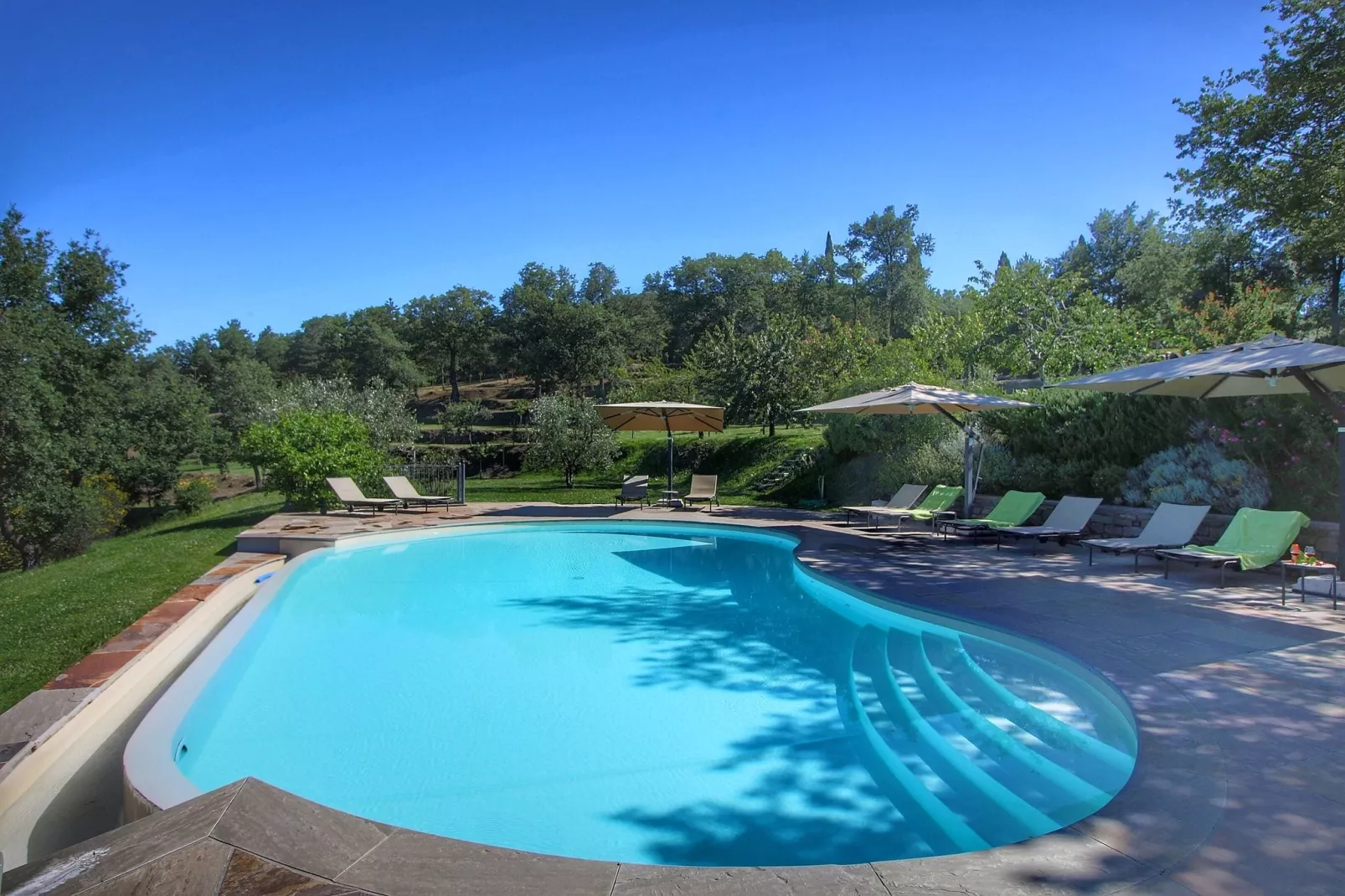 Caprifoglia-Pool