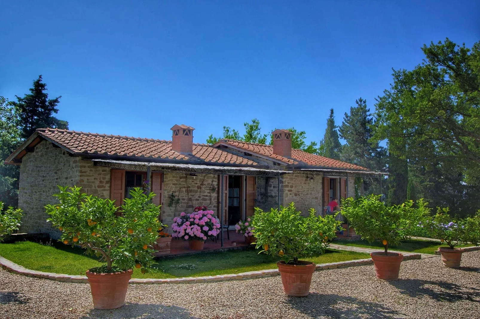 Clematilda-Exterior summer