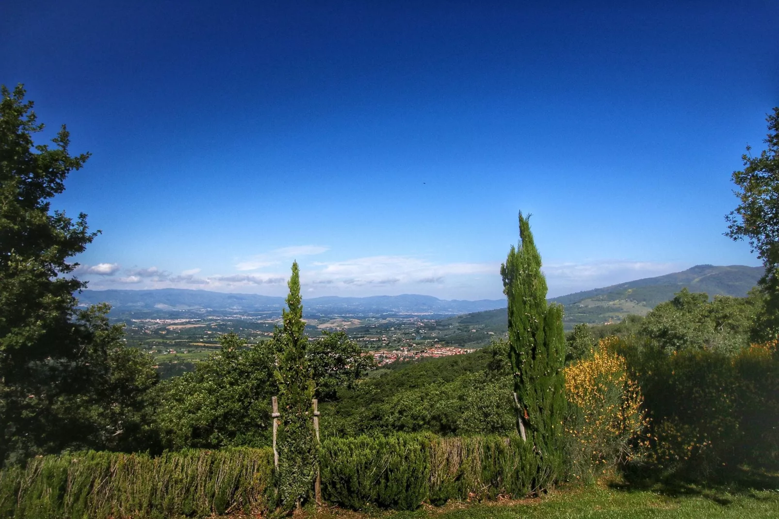 Clematilda-View summer