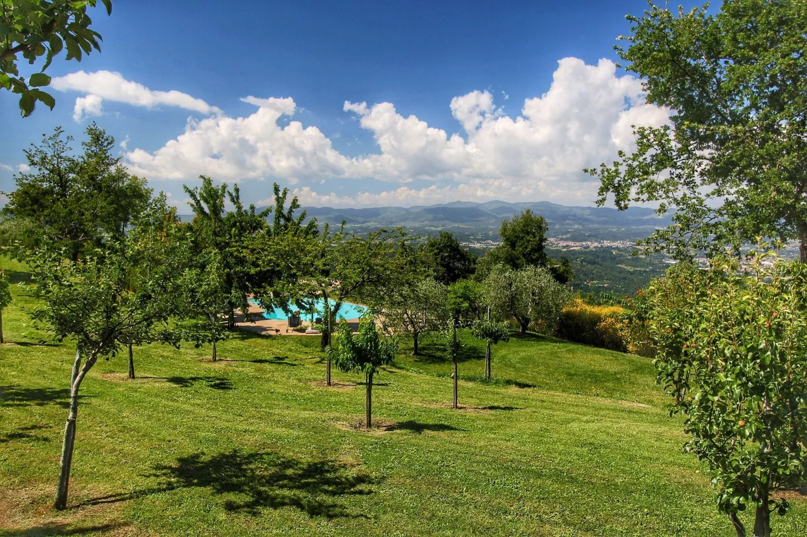 Glici-Gardens summer