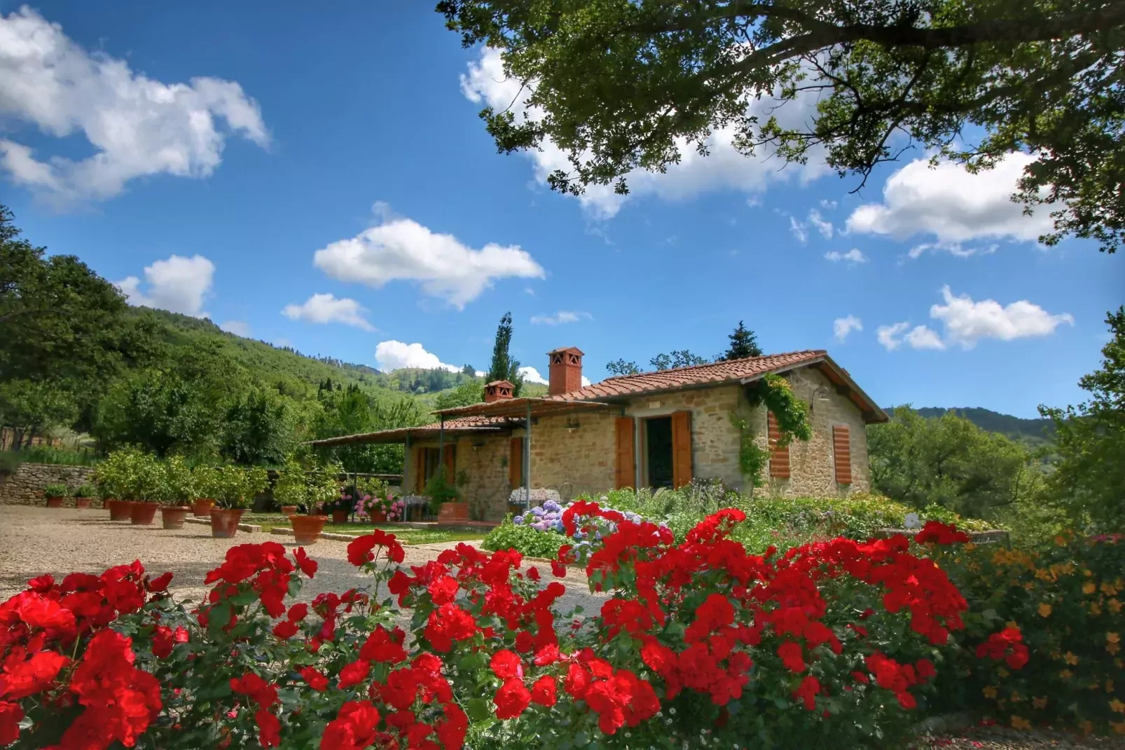 Glici-Exterior summer