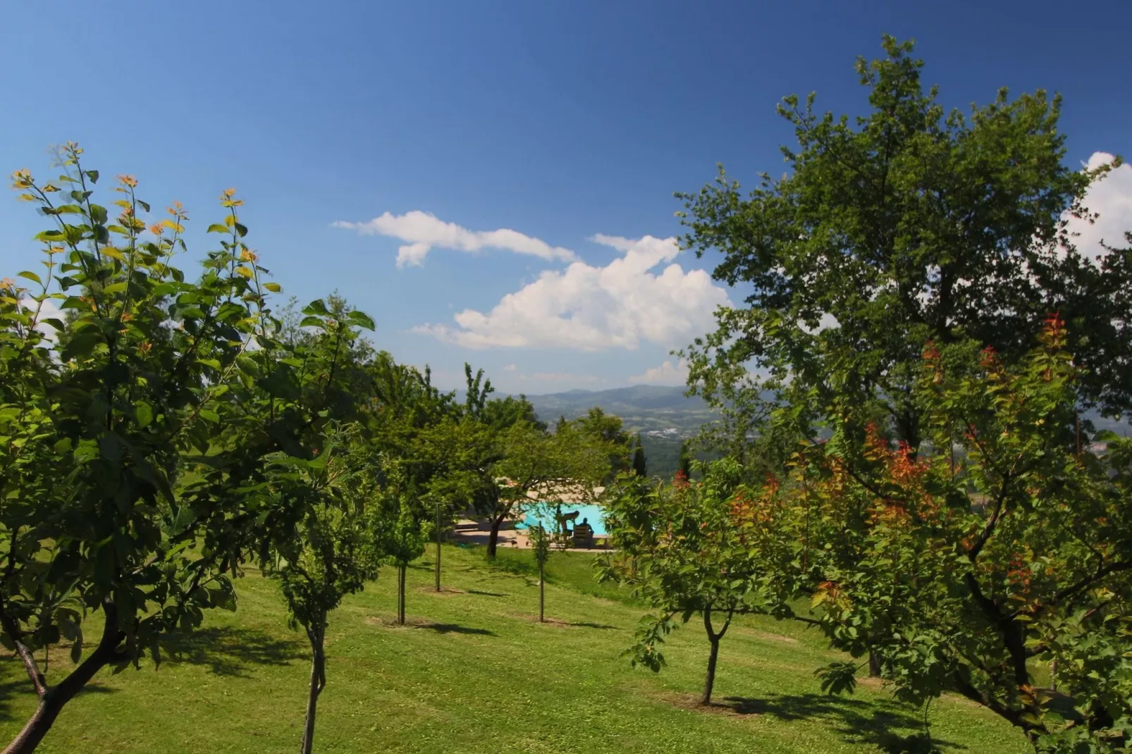 Glici-Gardens summer