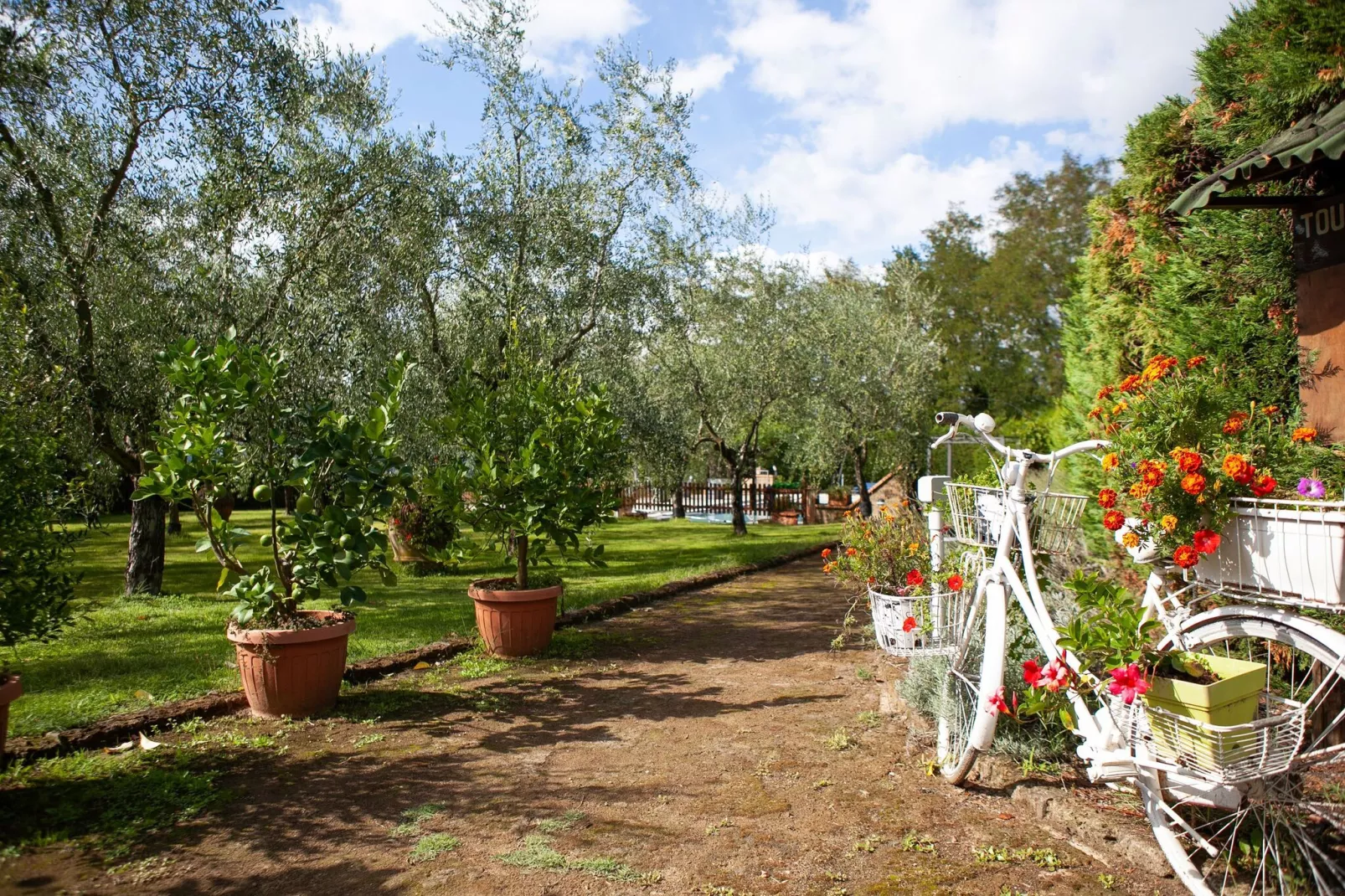 La Perla-Gardens summer