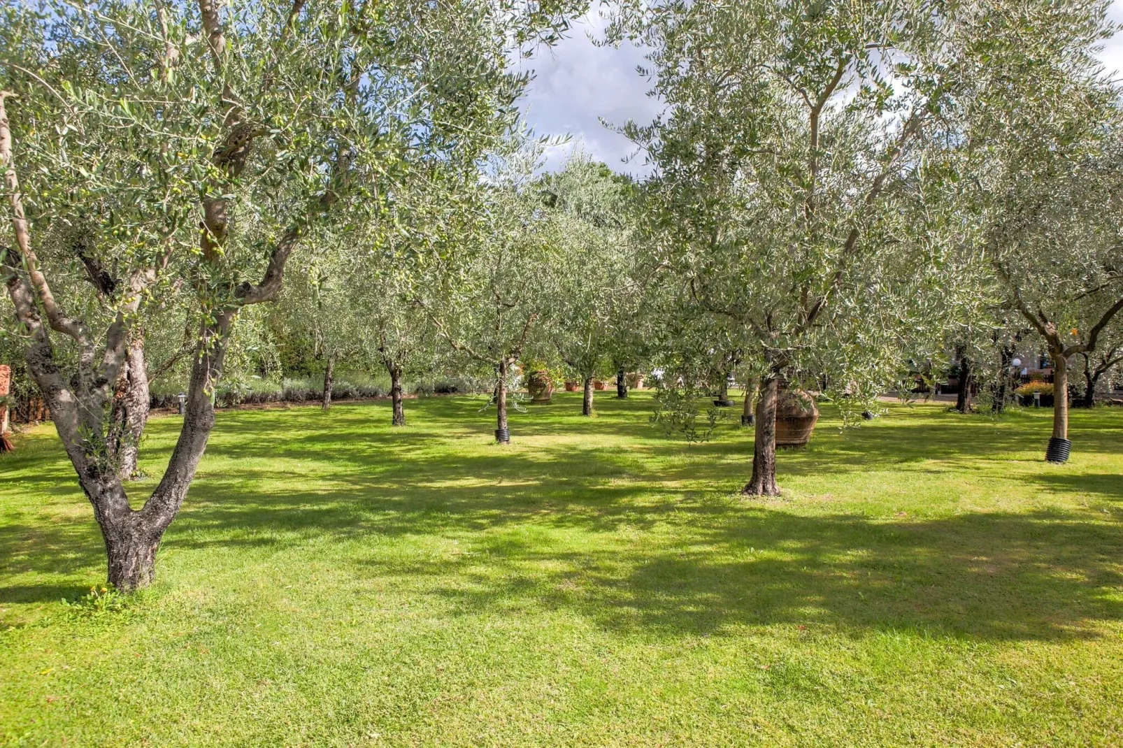 La Perla-Gardens summer