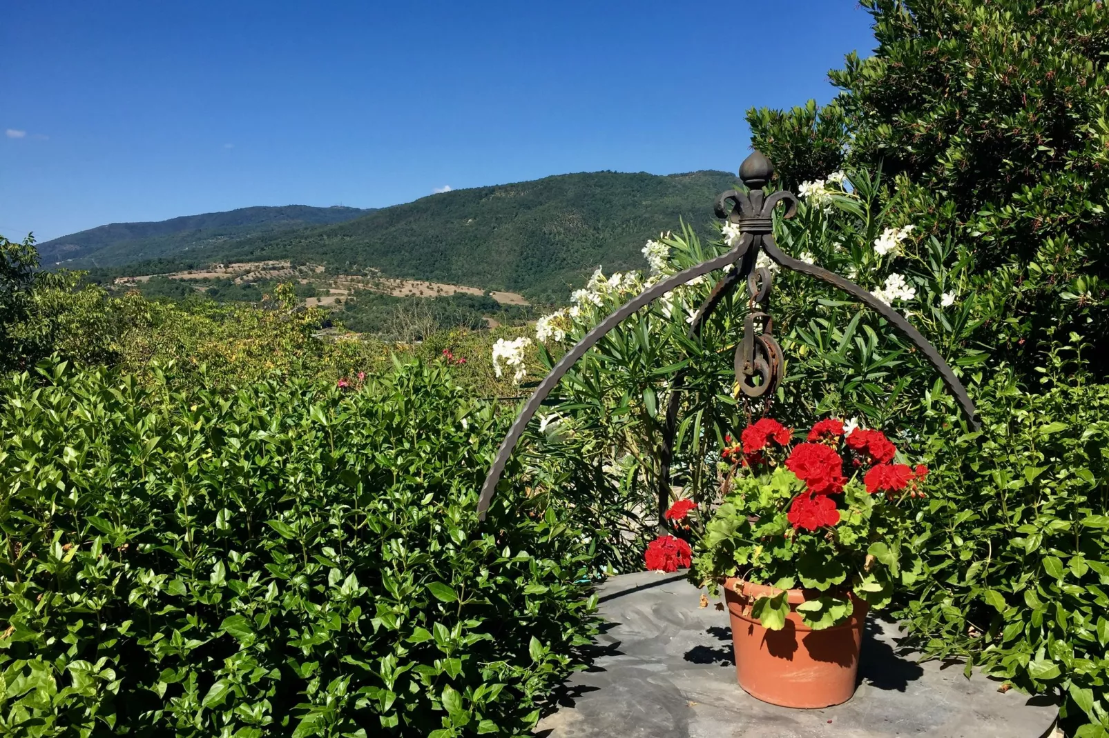 Il Camino-Jardins en été