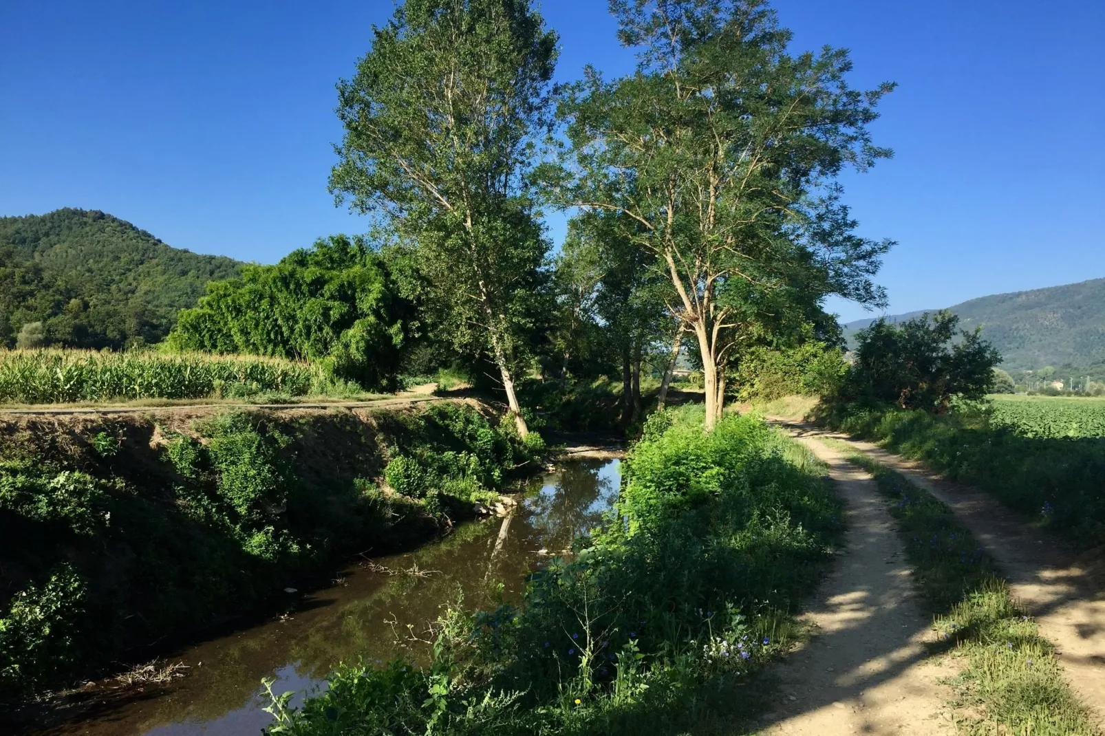 Il Camino-Zones été à 1 km