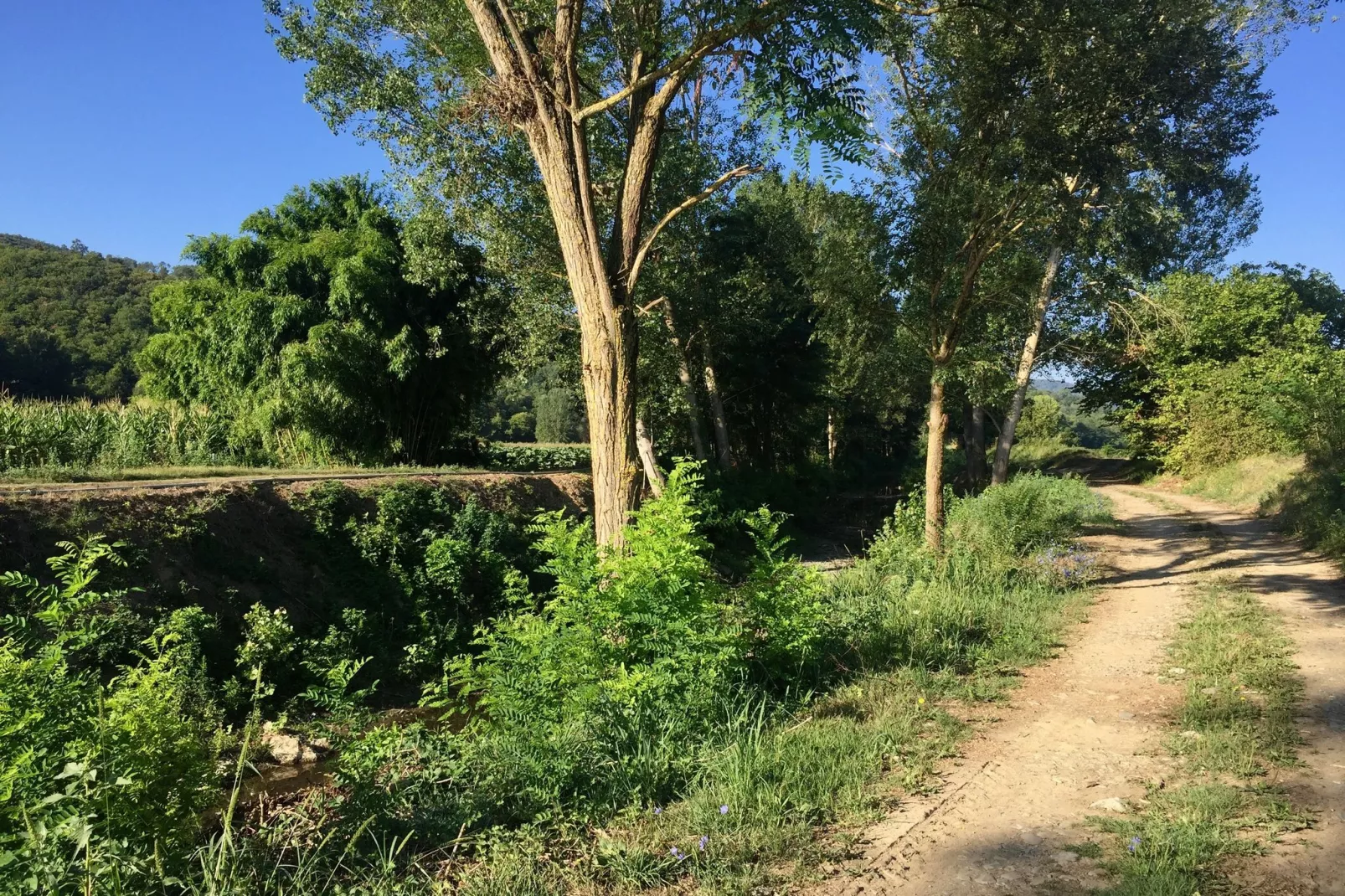 Il Camino-Zones été à 1 km