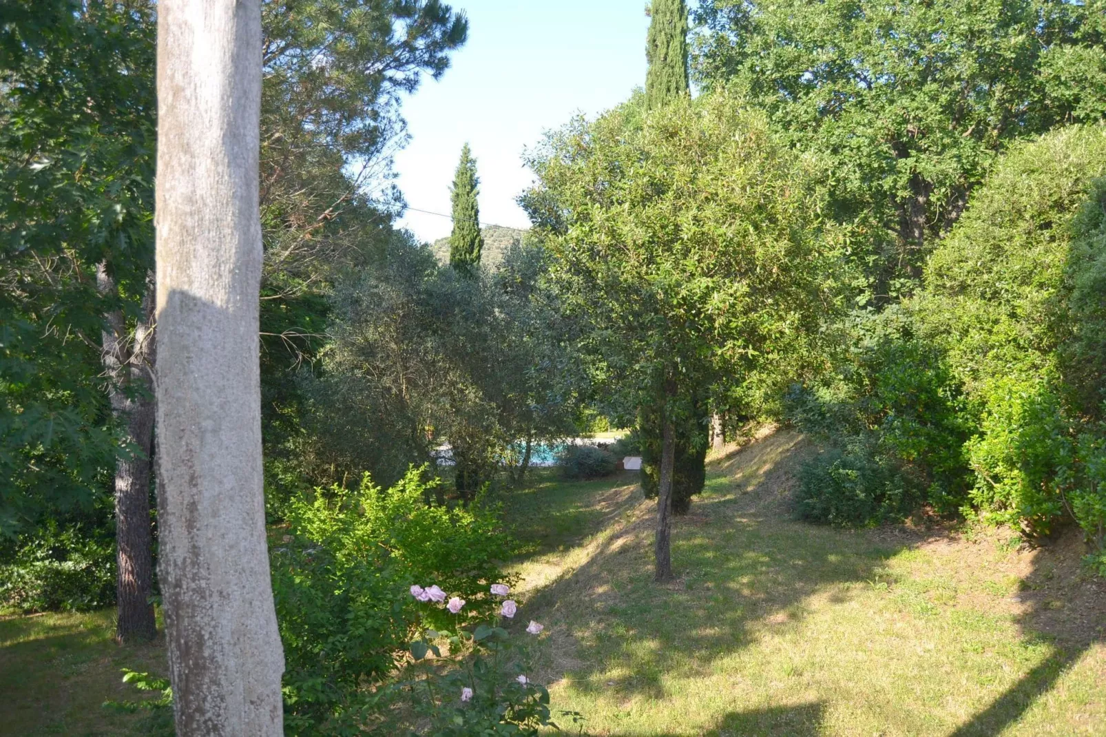 Poggiolino-Gardens summer