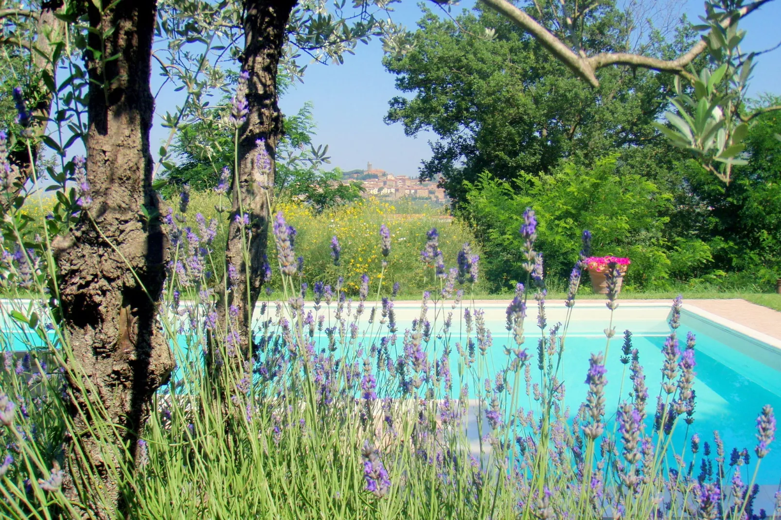 Casa Poggiolo-Pool