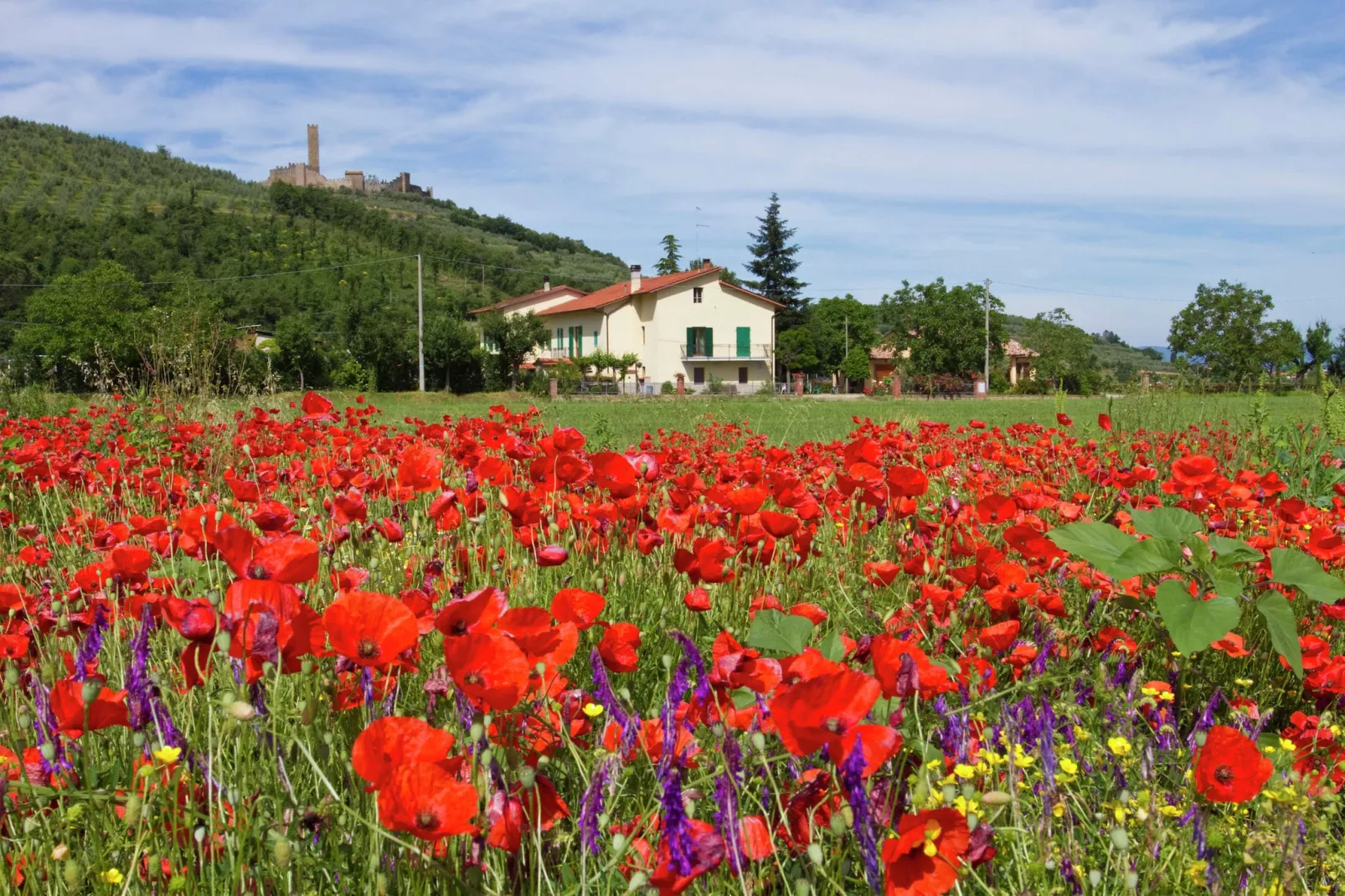Montecchio-Exterior summer