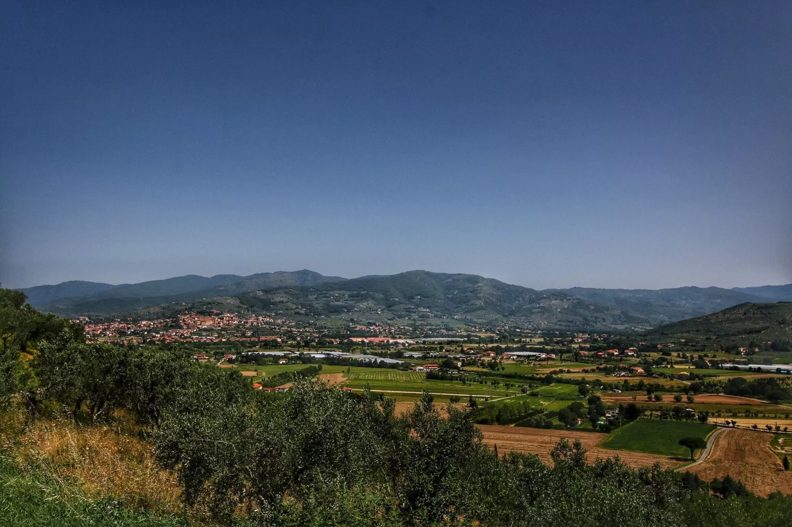 Montecchio-Areas summer 5km