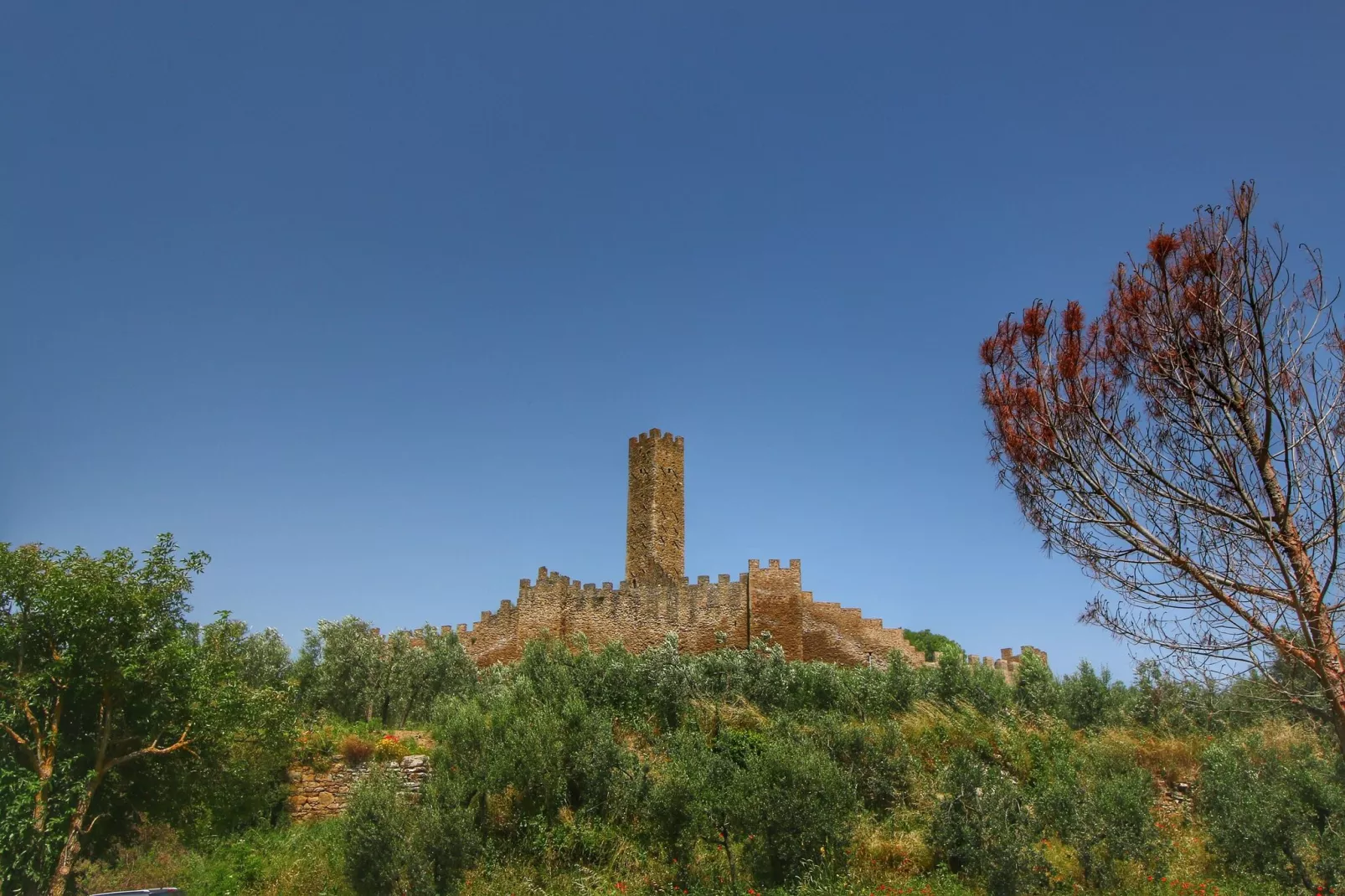 Montecchio-Areas summer 5km