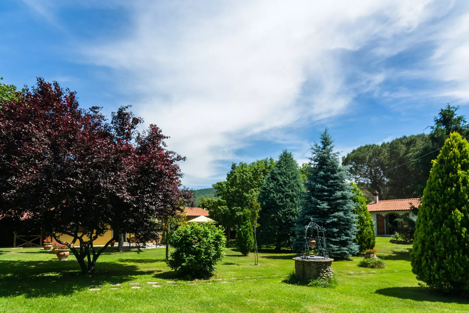 Villa Fiorentino-Gardens summer