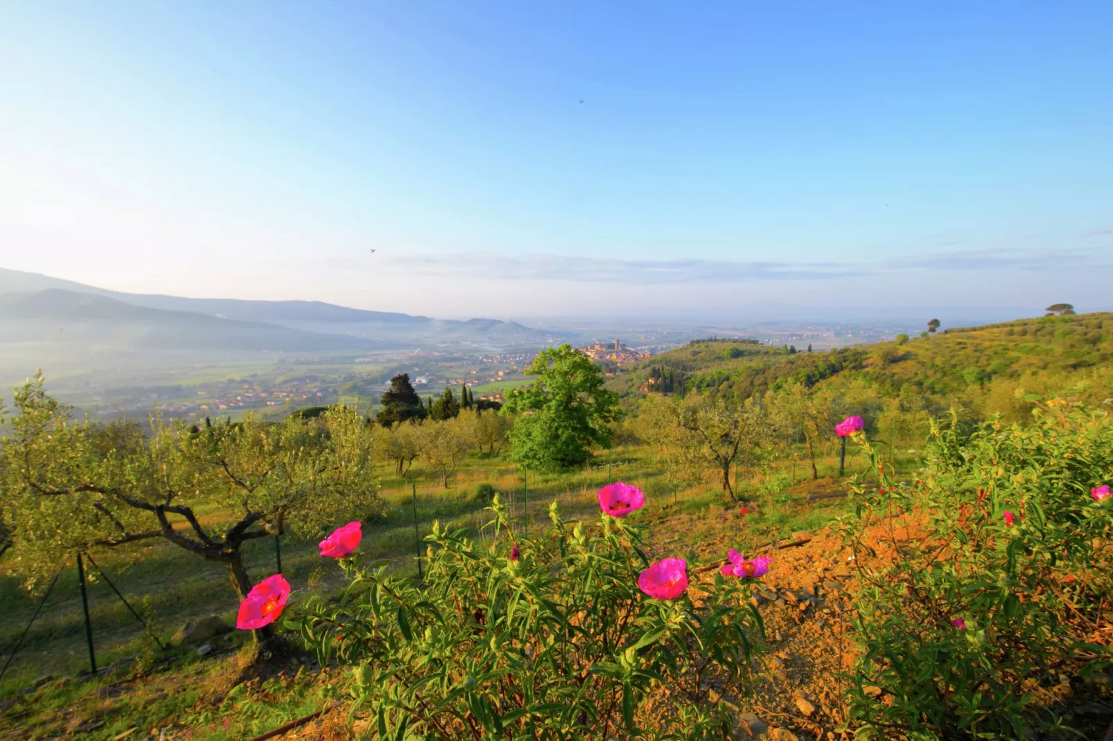Bellavista di Mammi-Zones d'été à 1 km
