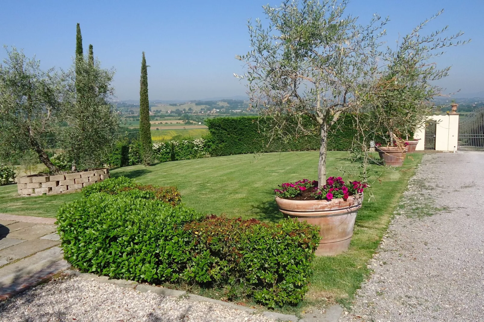 Michelangelo-Gardens summer