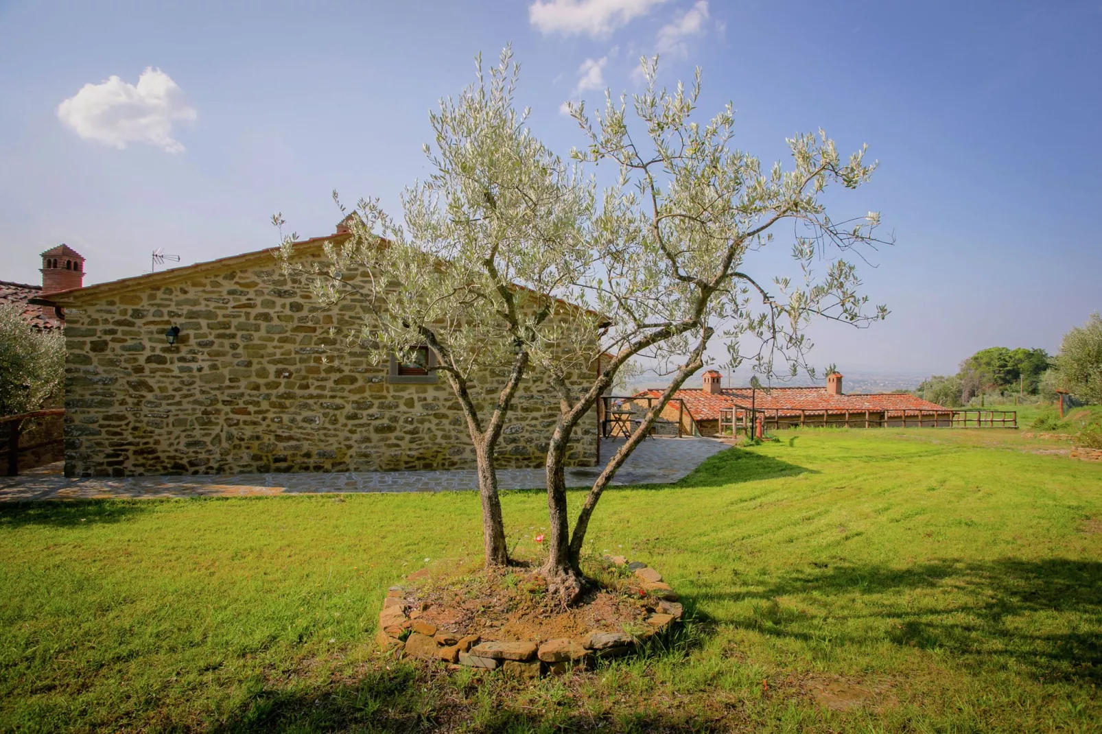 San Martino Ulivi-Gardens summer