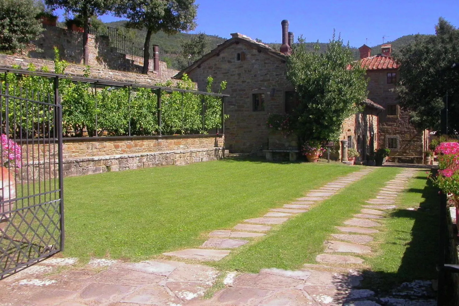 Leccio Lauro Quattro-Exterior summer